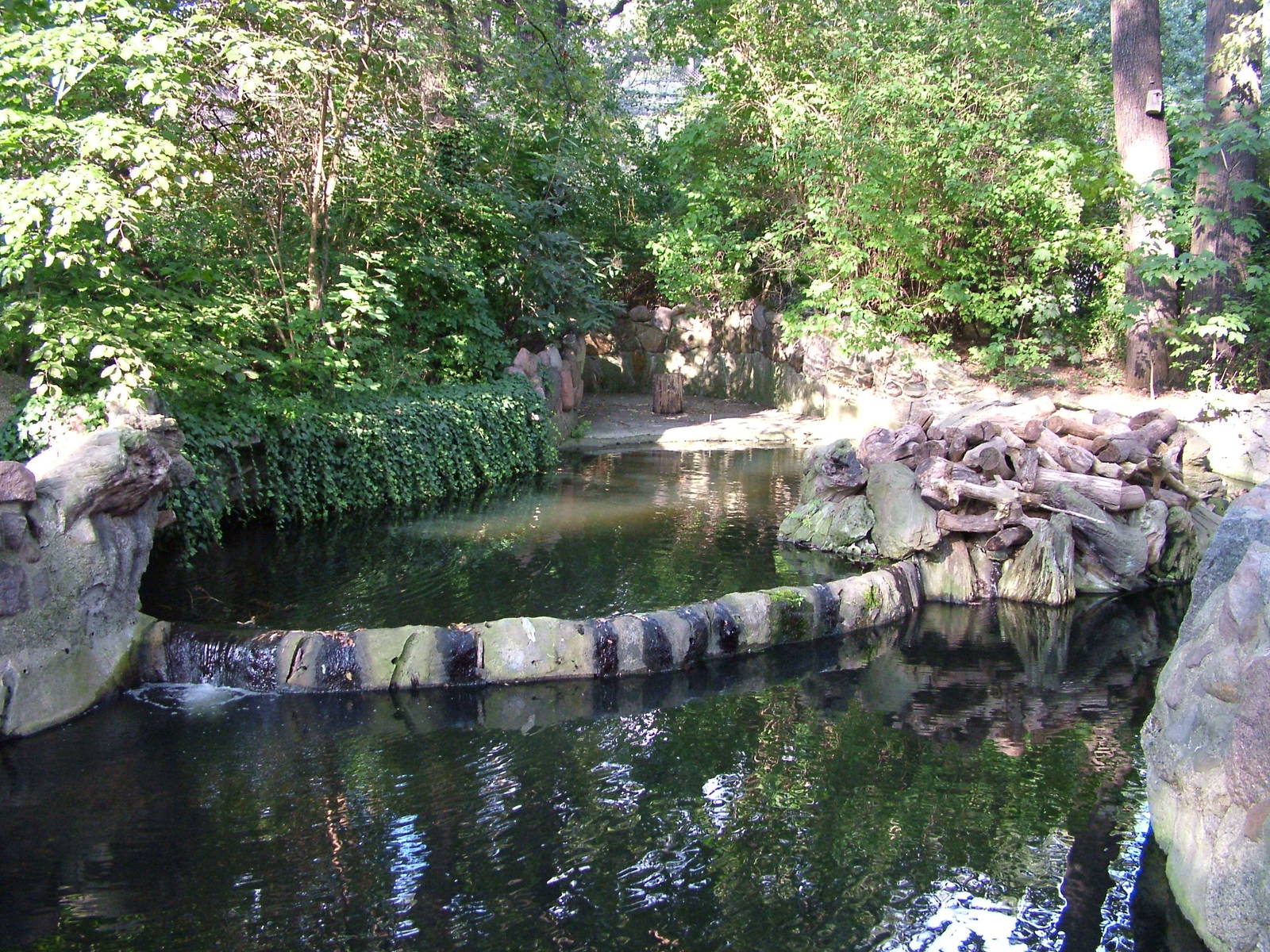 Beaver Exhibit at Berlin Zoo, 31/08/11