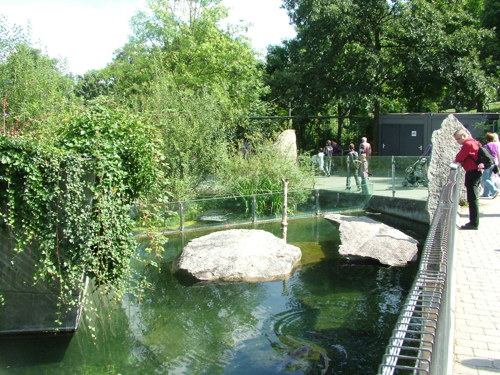 Beaver Exhibit at Wilhelma, Stuttgart 02/09/10