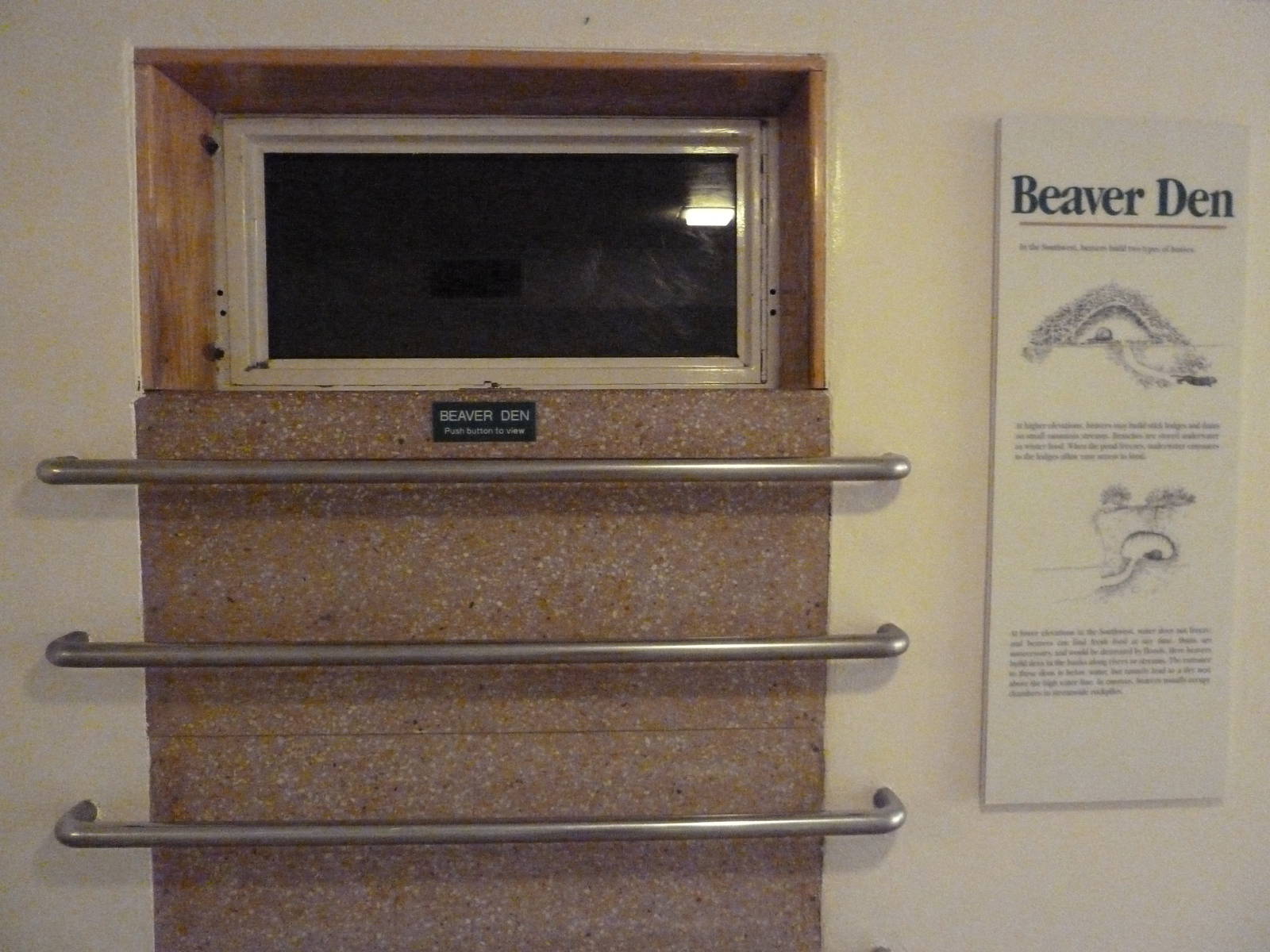 Beaver Exhibit - Den