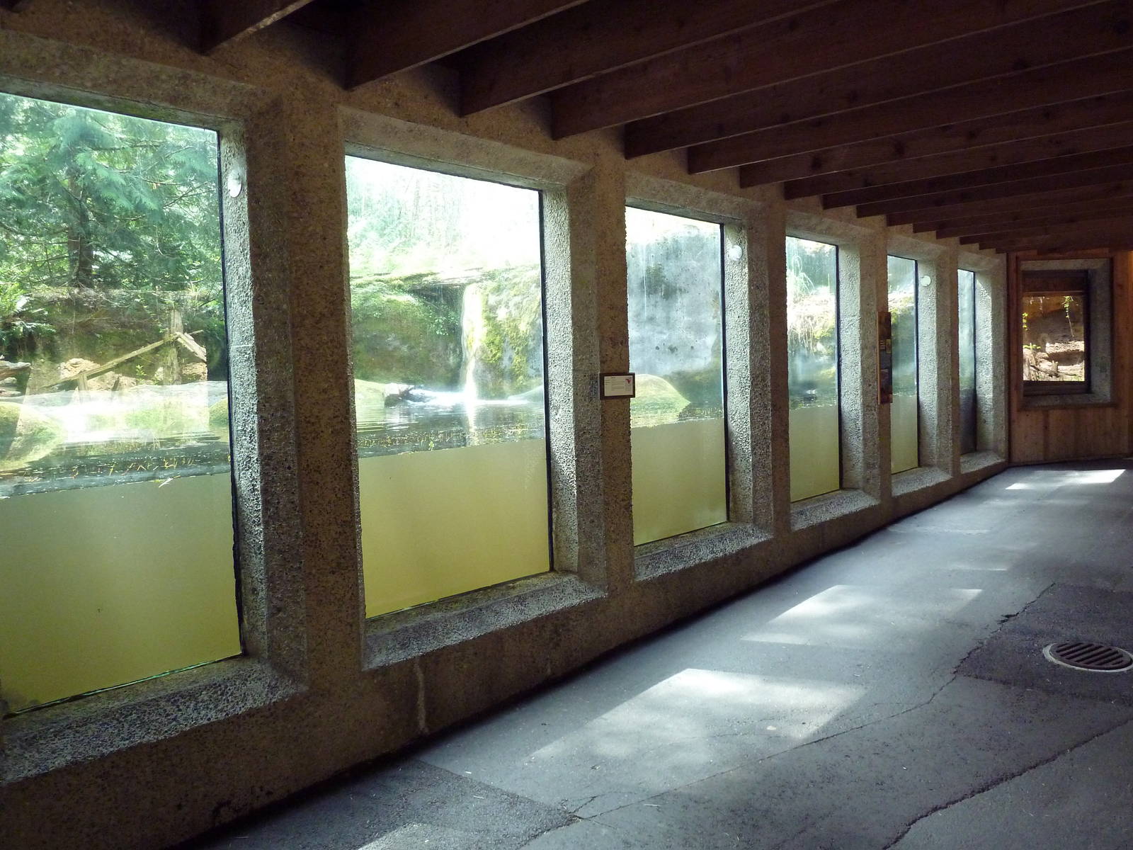 Beaver Exhibit - Underwater Viewing + Den