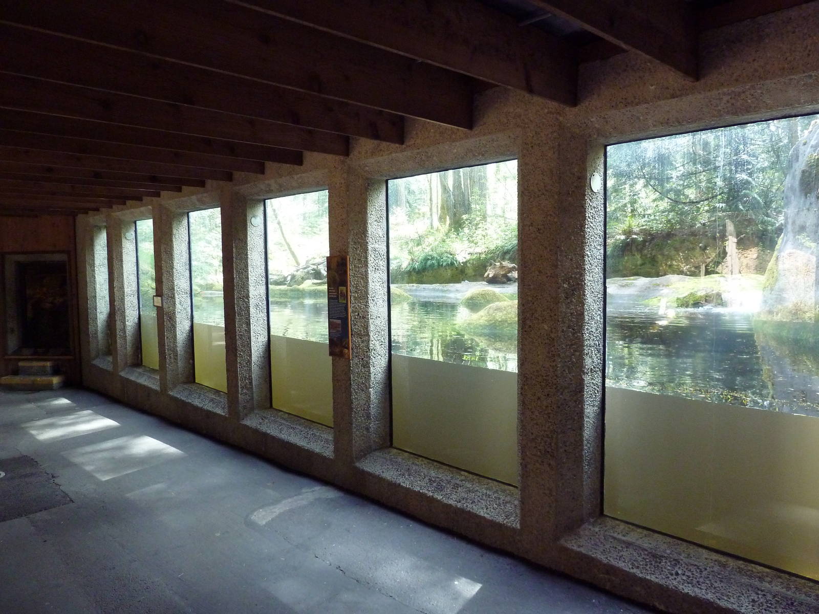 Beaver Exhibit - Underwater Viewing + Den