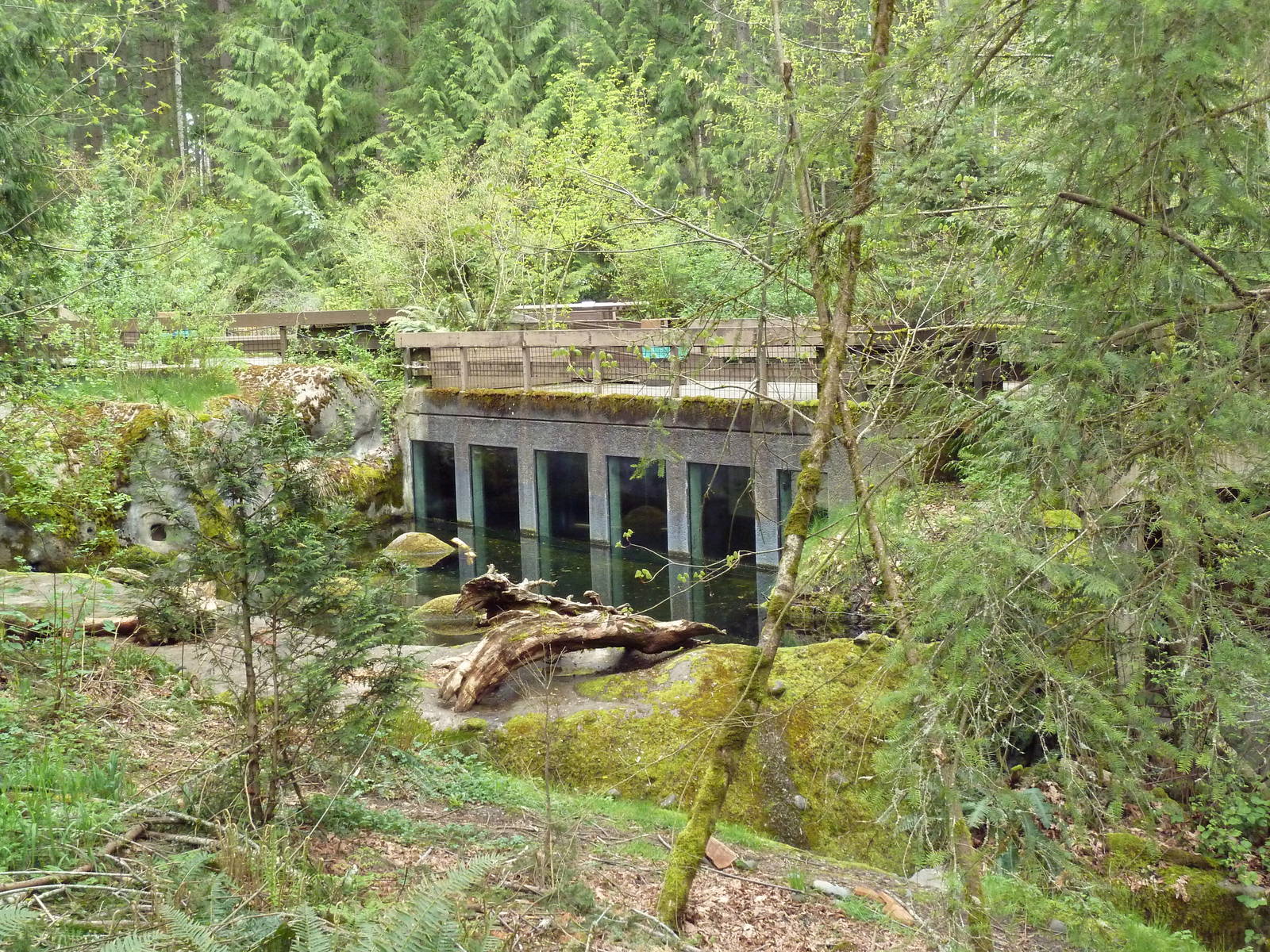 Beaver Exhibit - View From Pathway