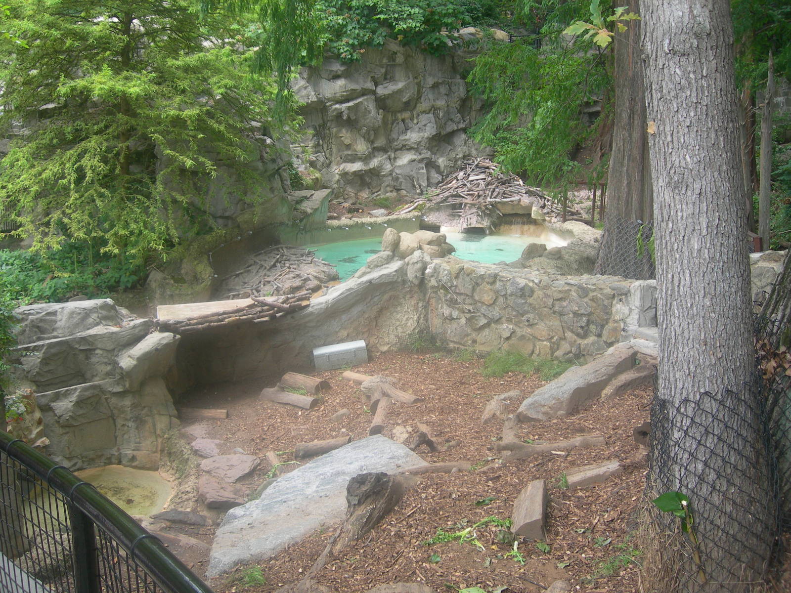 Beaver Exhibit