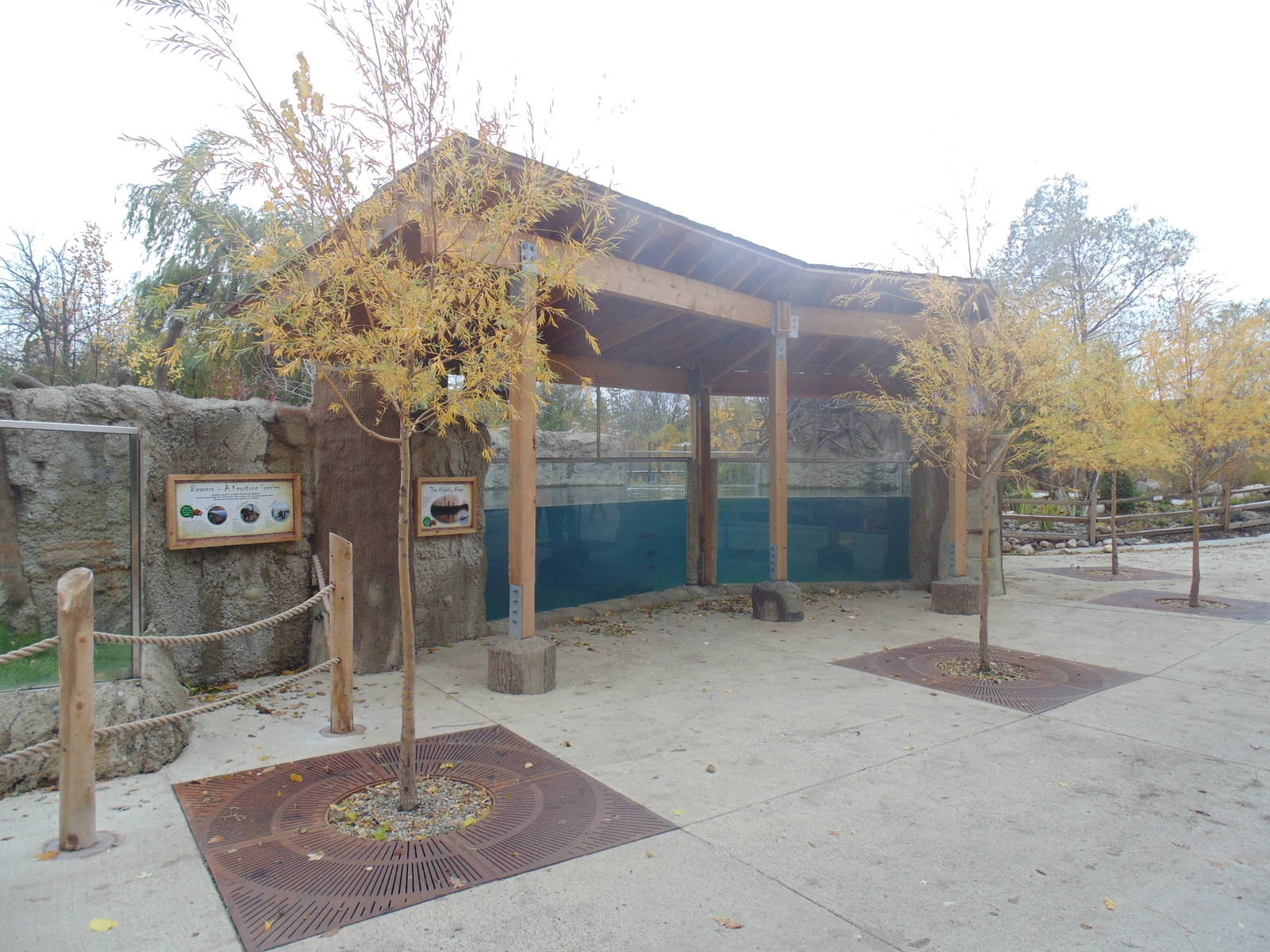 Beaver Exhibit