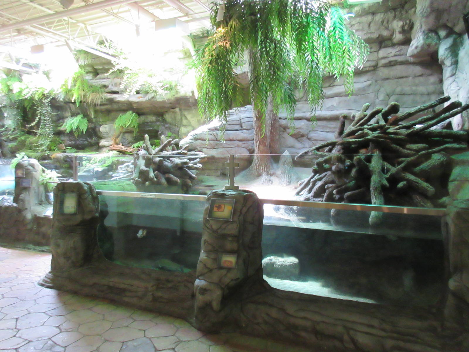 Beaver Exhibit