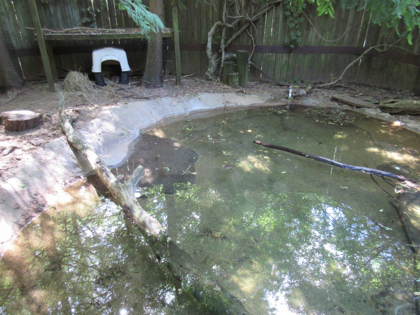 Beaver Exhibit