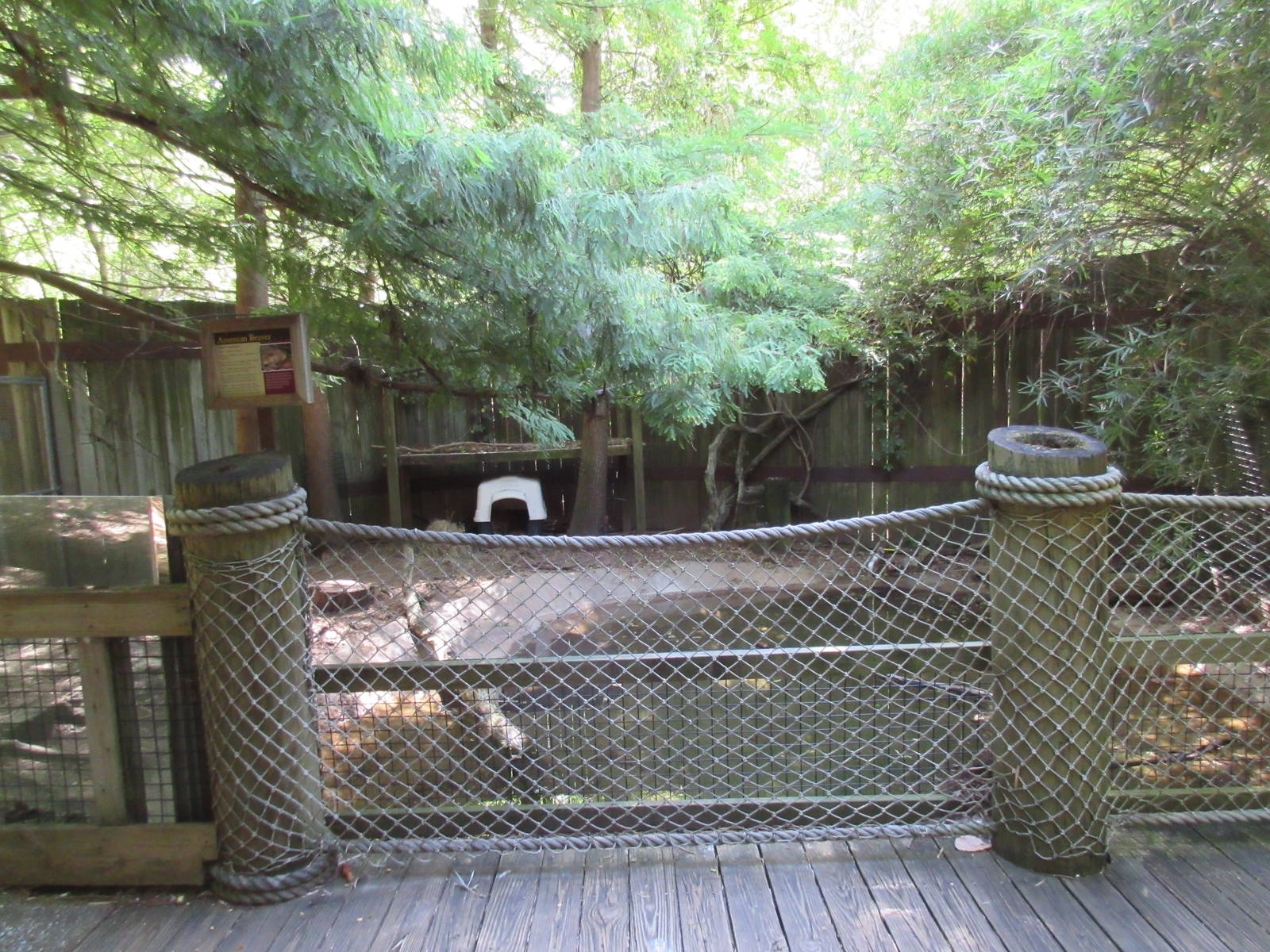 Beaver Exhibit