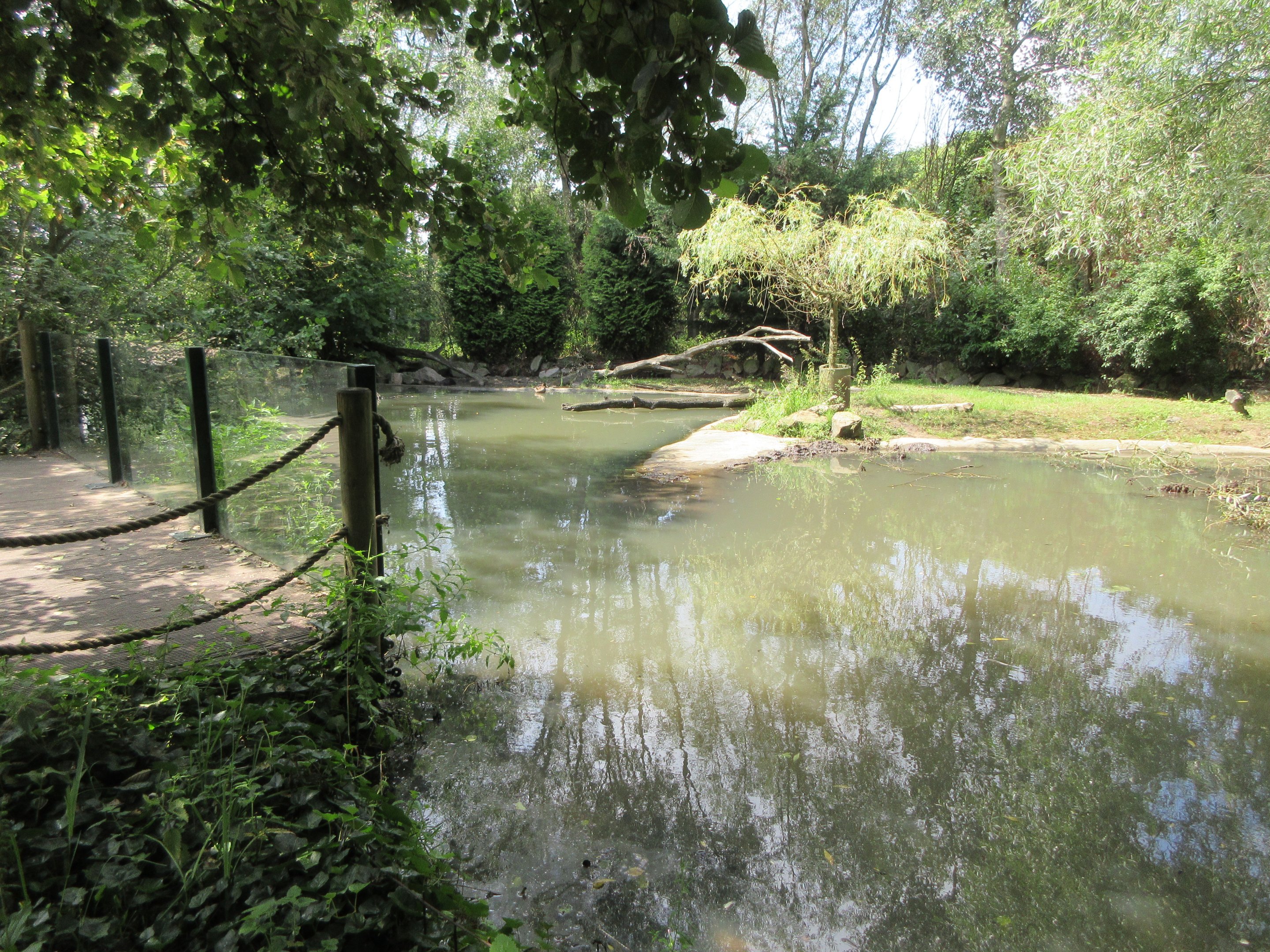 Beaver Exhibit