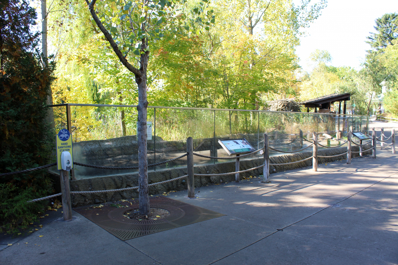 Beaver Exhibit