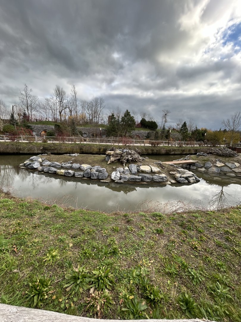 Beaver exhibit