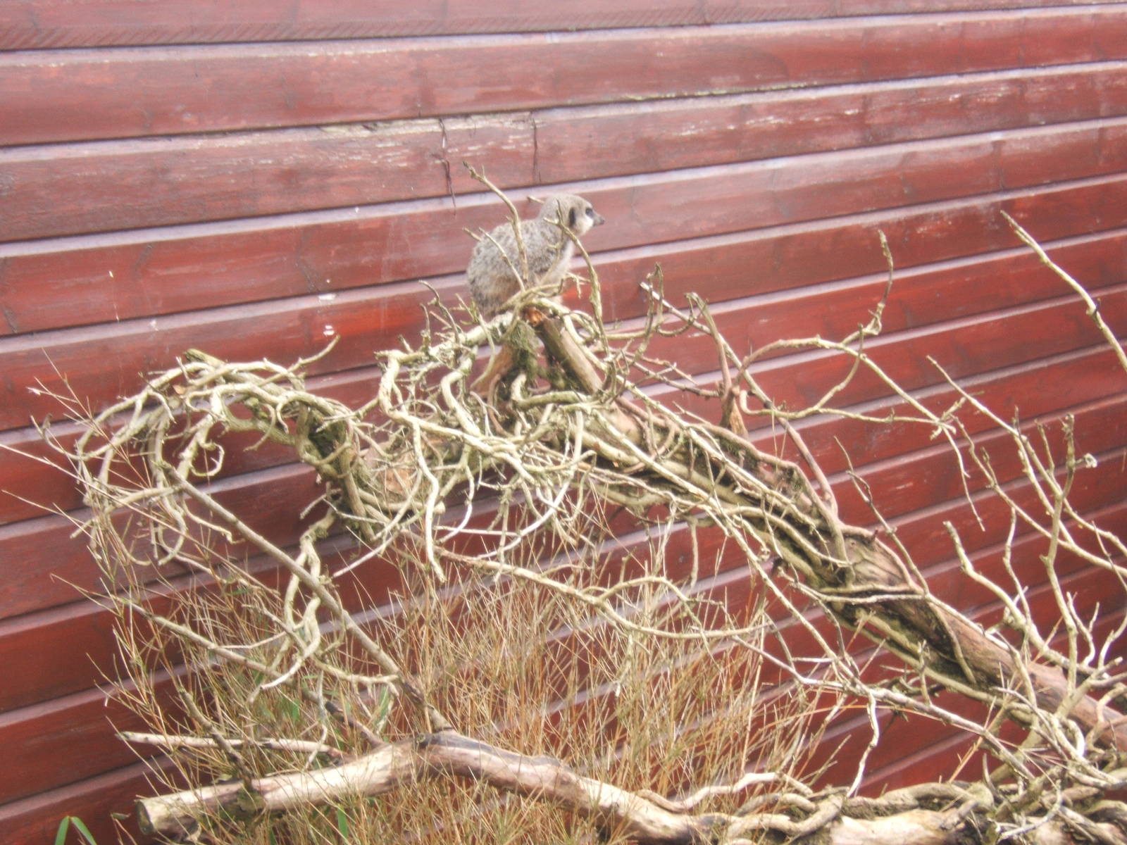 Beaver Hall Farm Park