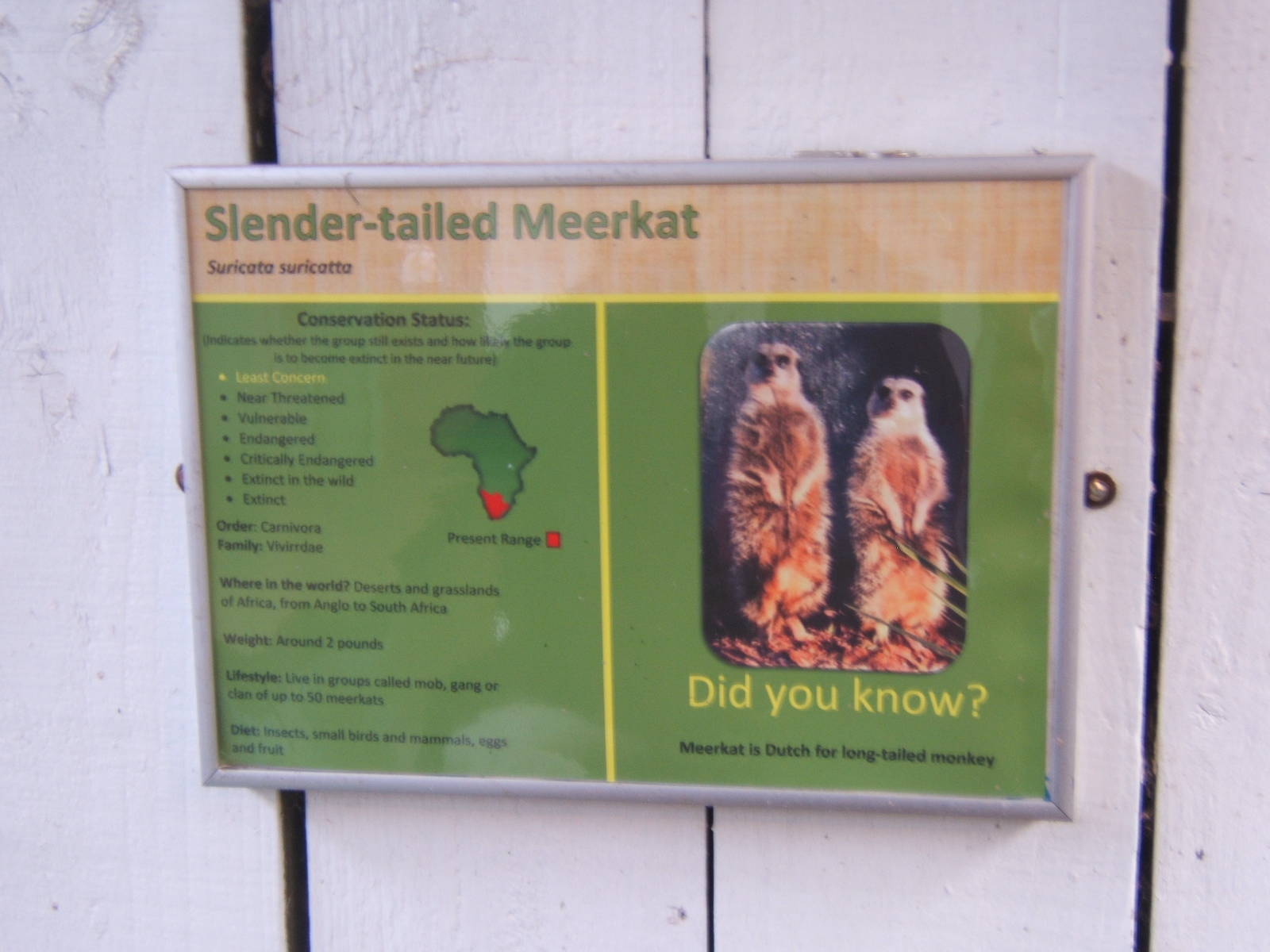 Beaver Hall Farm Park