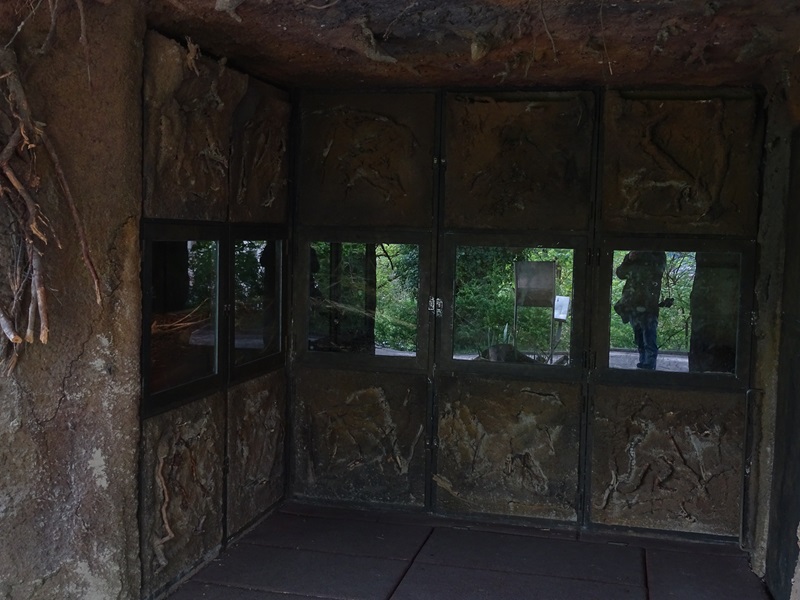 Beaver indoor enclosure