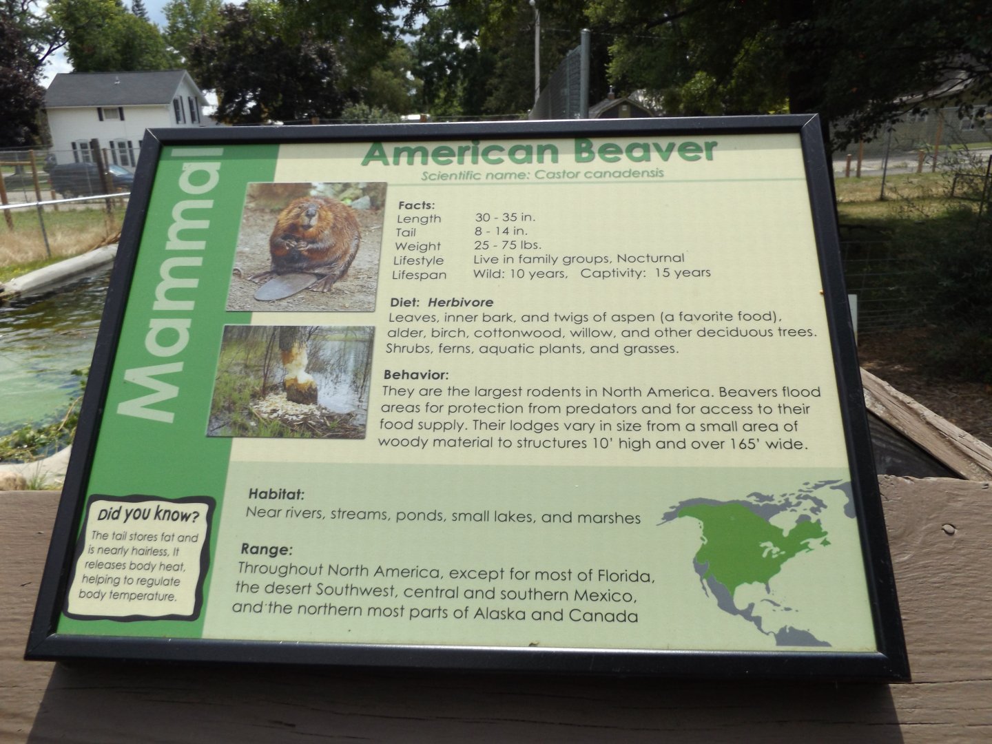 Beaver Information Sign