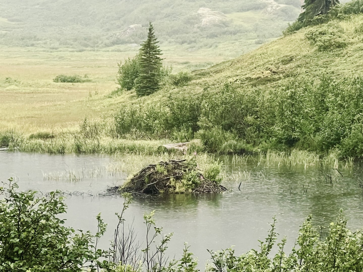 Beaver Lodge - Alaska