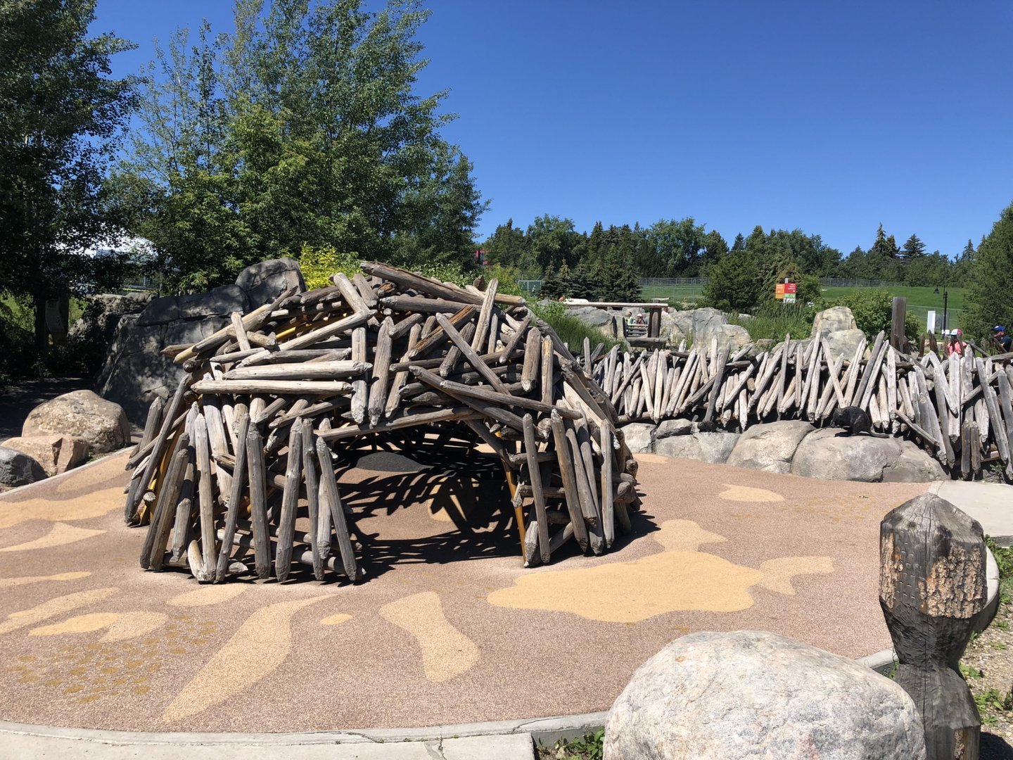 Beaver Lodge and Dam at Edmonton Valley Zoo (July 2022)