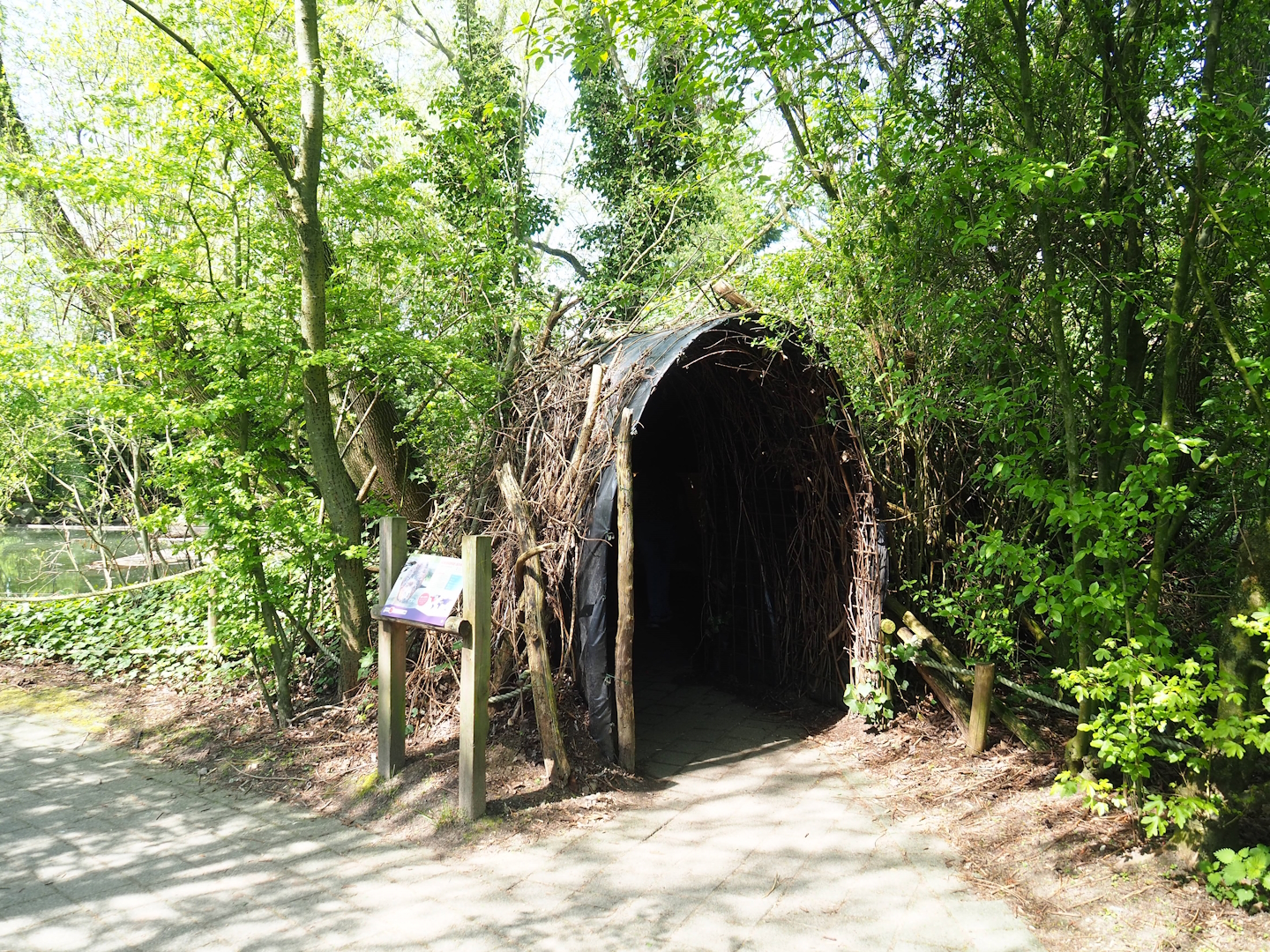 Beaver lodge viewing area, 2023-04-30