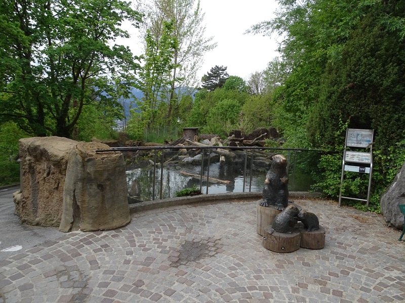 Beaver/merganser enclosure