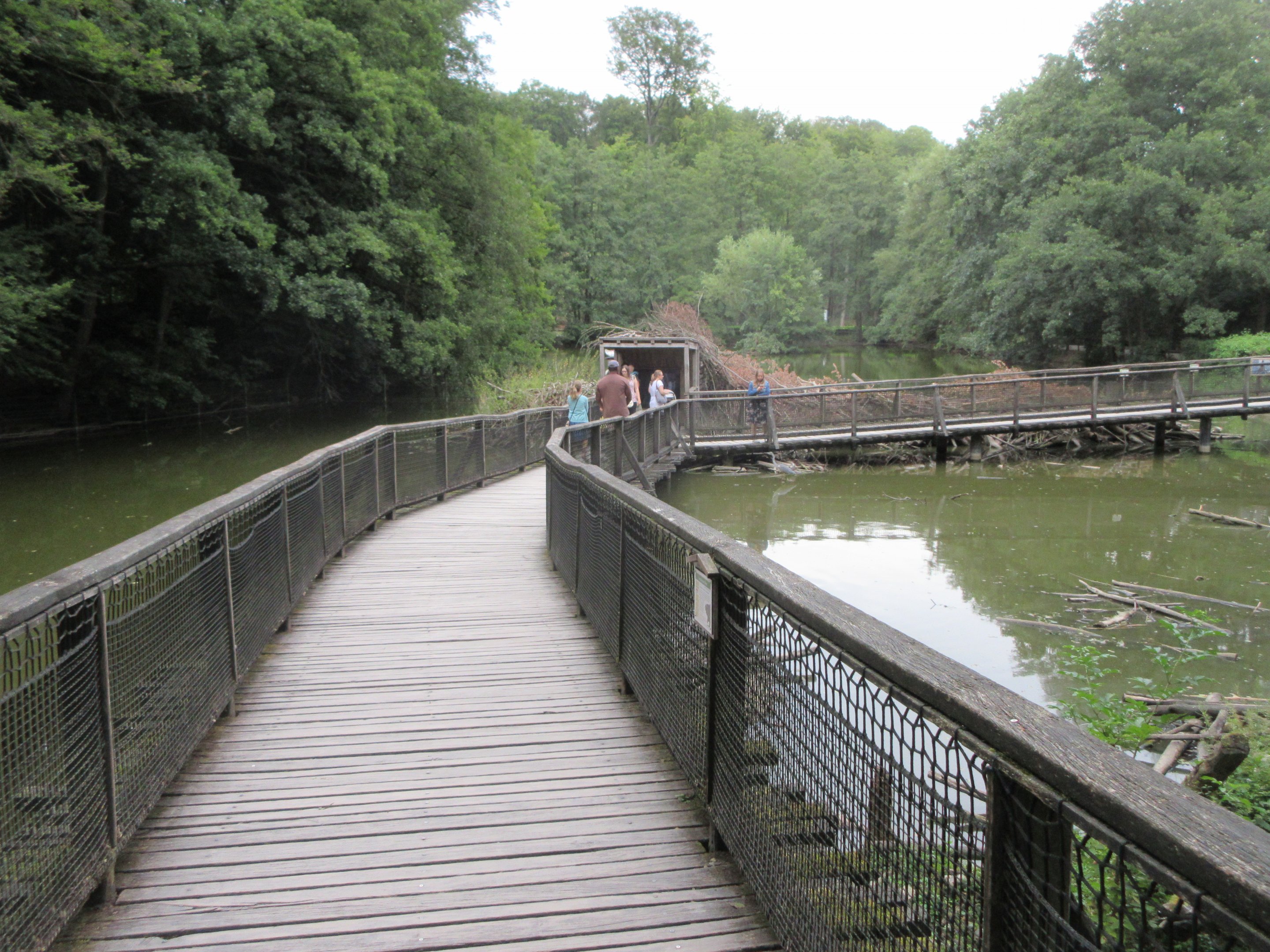 Beaver/Nutria Exhibit