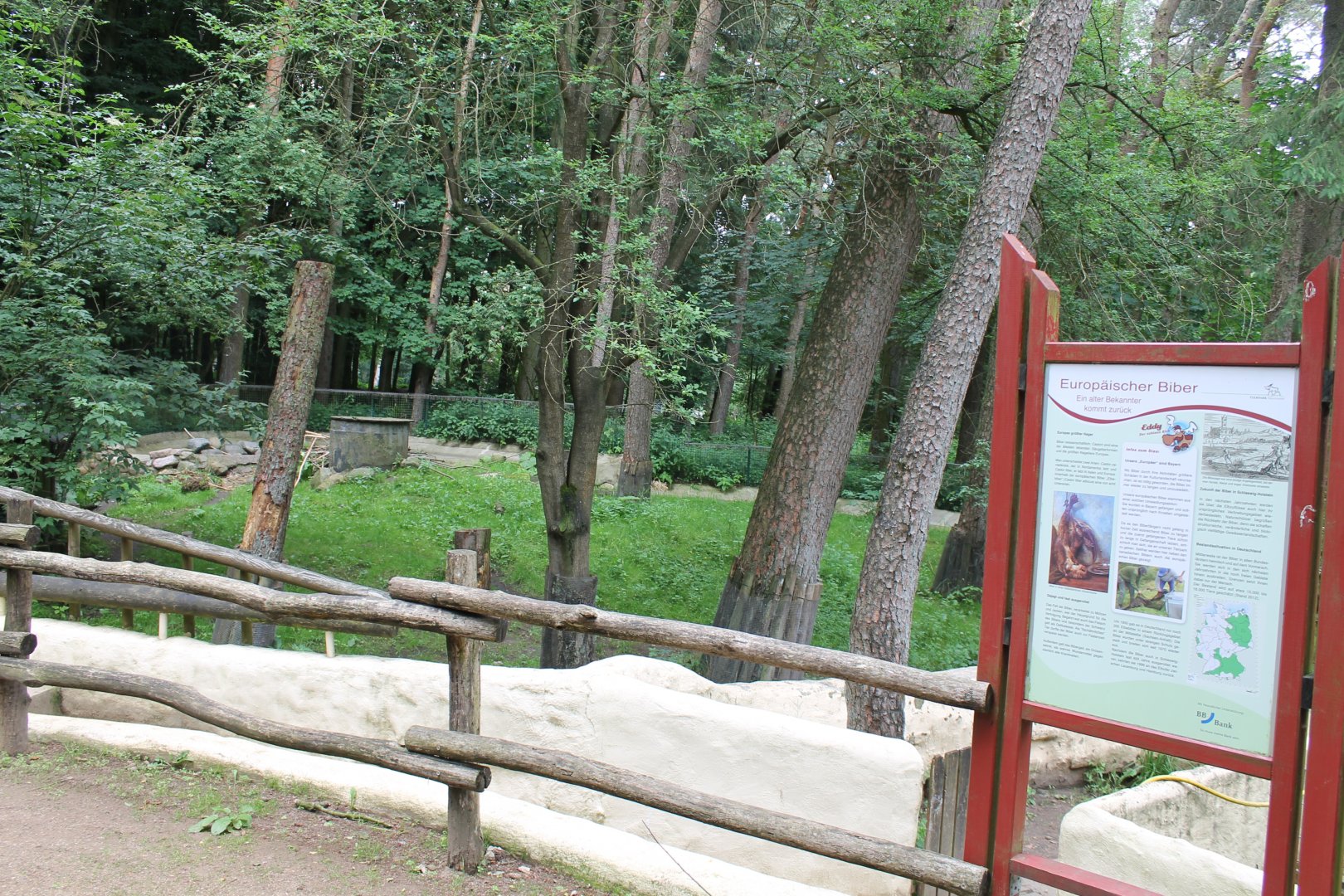 Beaver Outdoor-enclosure