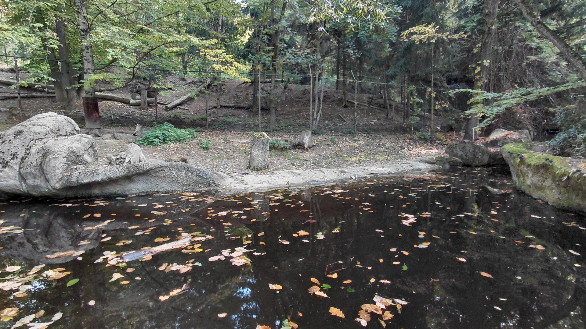 Beaver outdoor exhibit