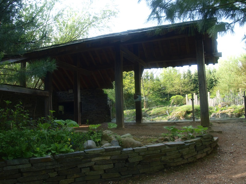 Beaver shelter (May 2nd, 2015)