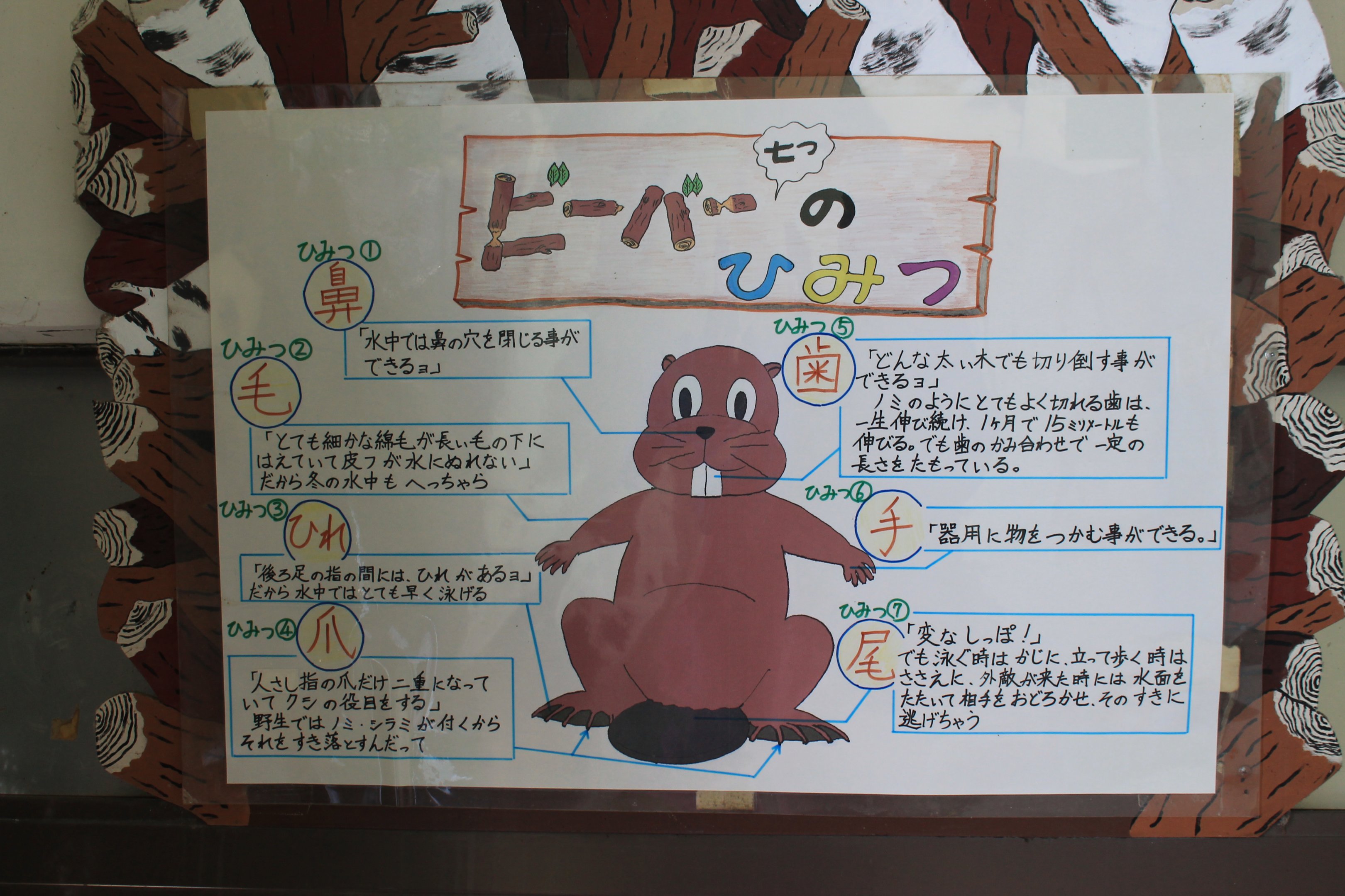 Beaver signage, Kushiro Zoo