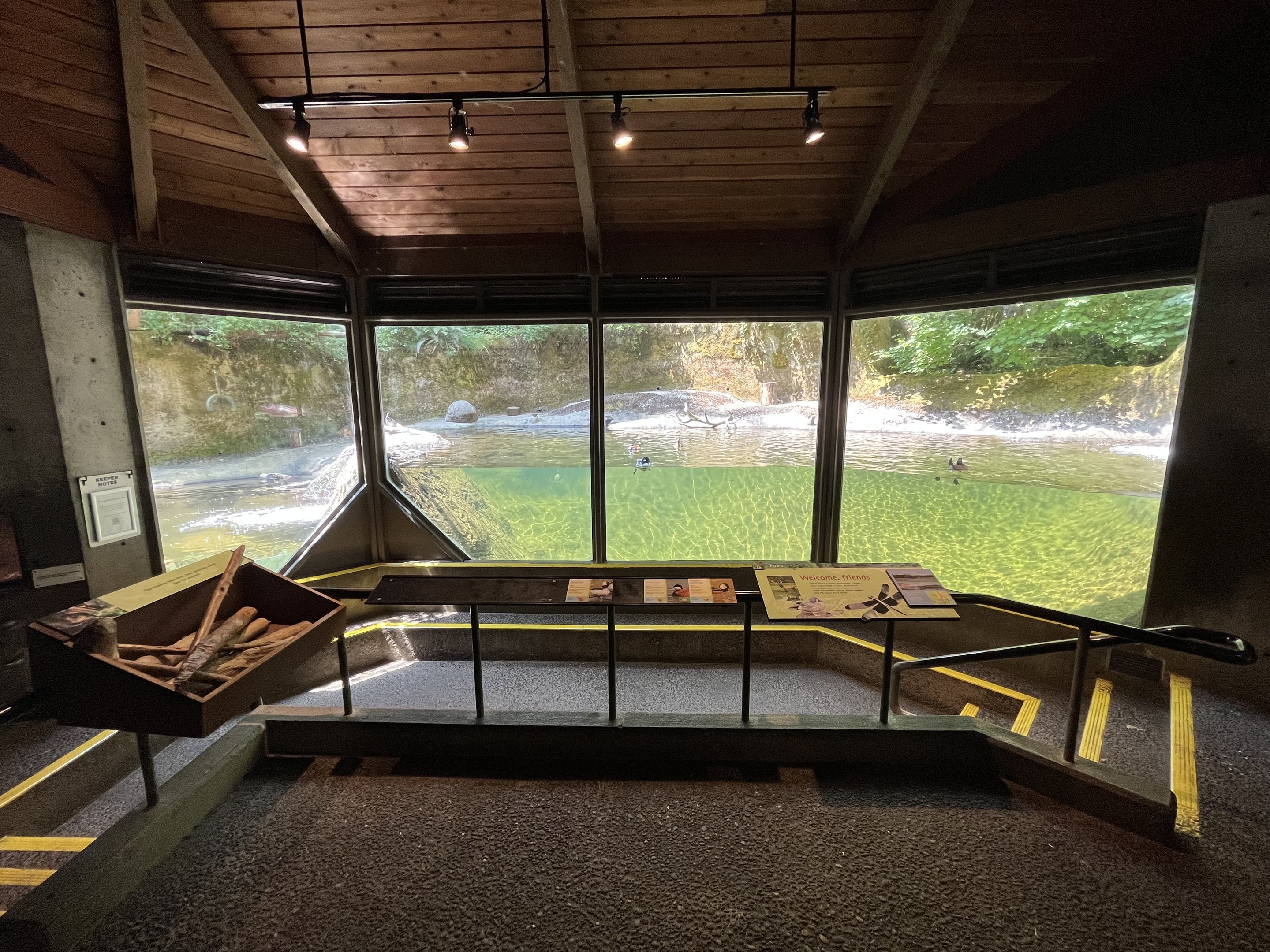 Beaver + Waterfowl Exhibit