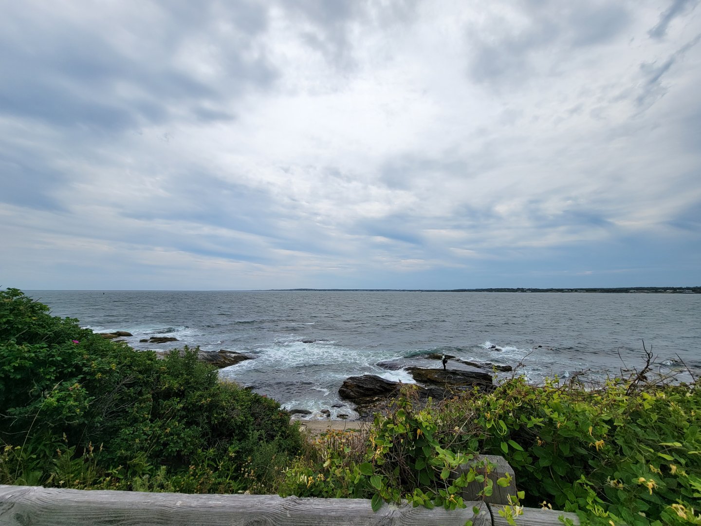 Beavertail Aquarium - view