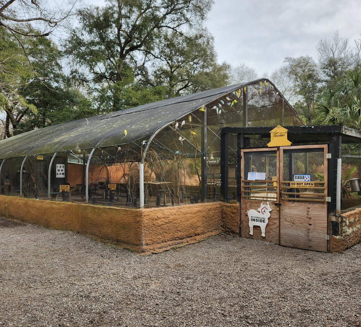 Bee City Zoo (2023) - Budgie aviary