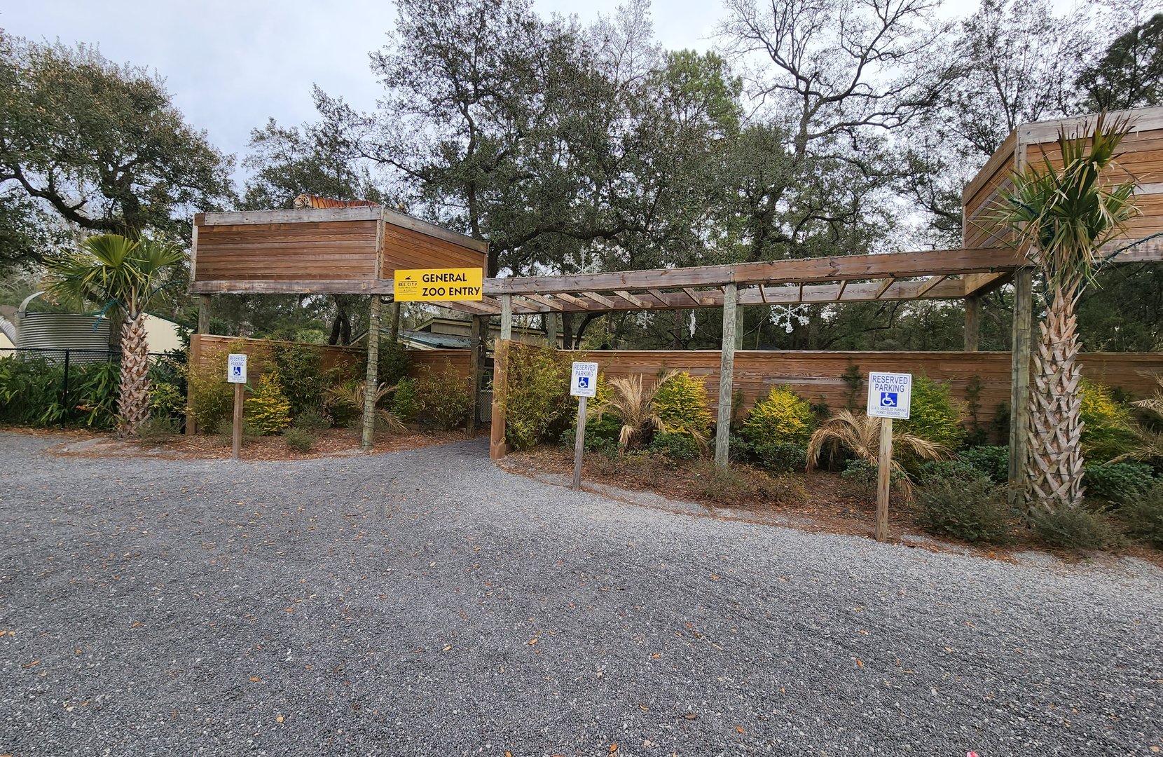Bee City Zoo (2023) - Entance