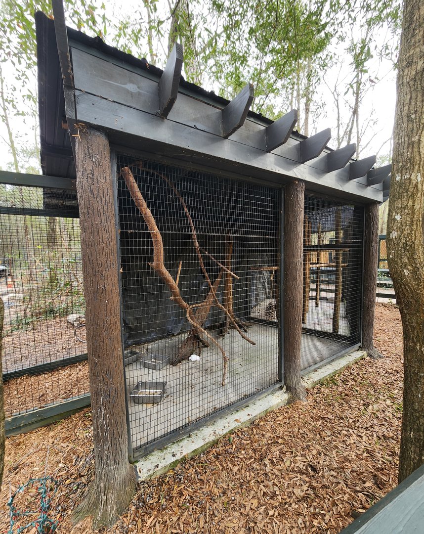 Bee City Zoo (2023) - Kinkajou/Porcupine exhibit