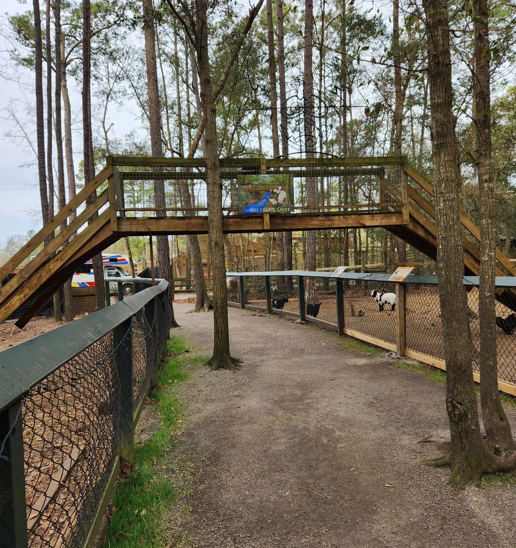 Bee City Zoo (2023) - Mini Goat bridge