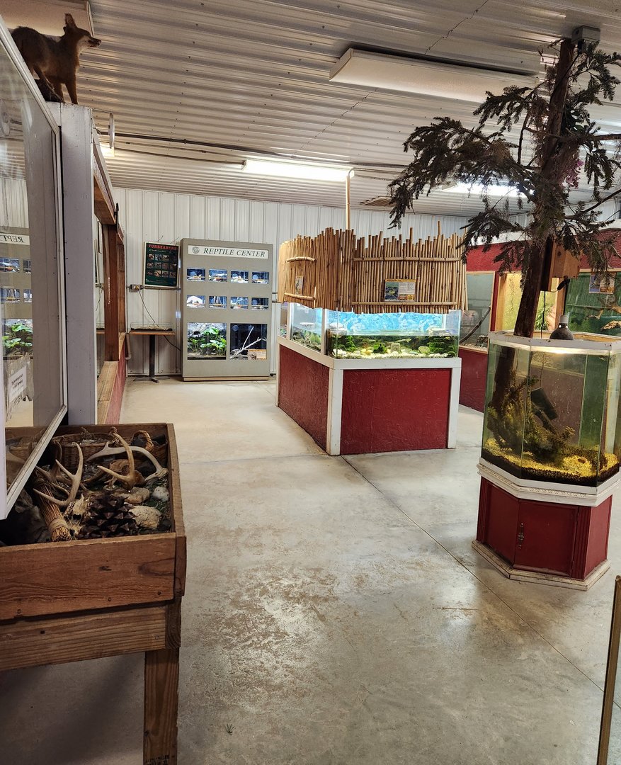 Bee City Zoo (2023) - "Nature Center" exhibit room