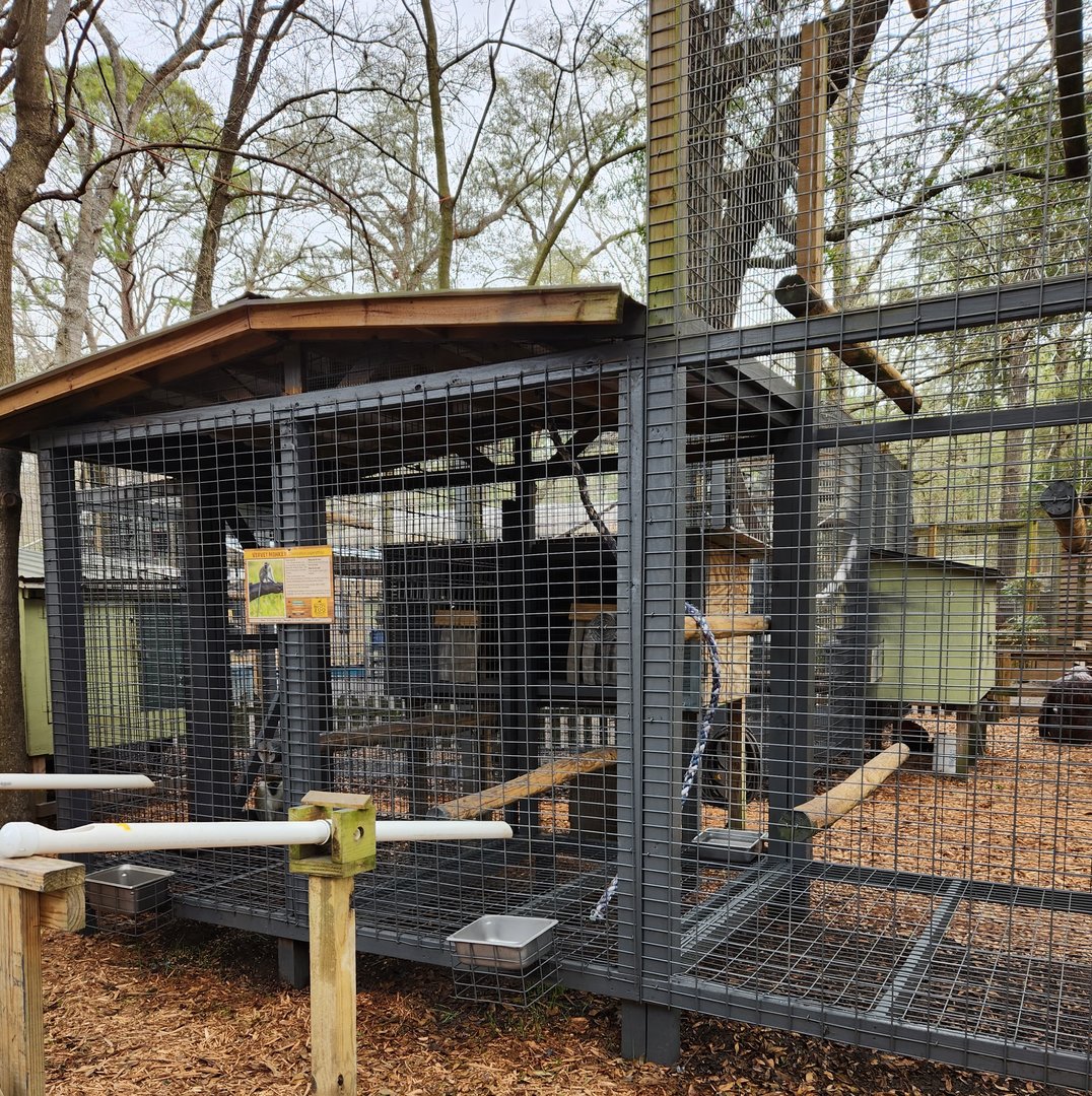 Bee City Zoo (2023) - Primate prison 1