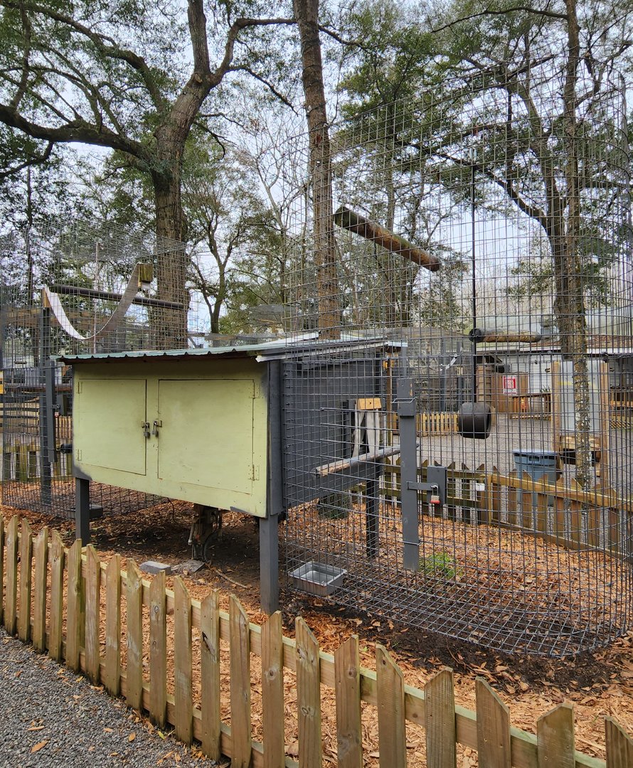 Bee City Zoo (2023) - Primate prison 2