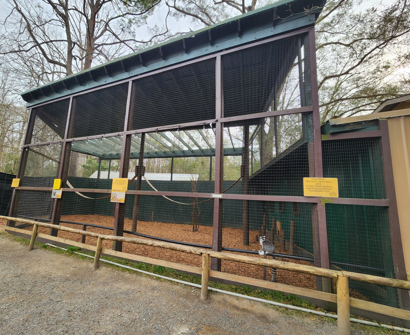Bee City Zoo (2023) - Ringtail Lemur/Common Agouti enclosure
