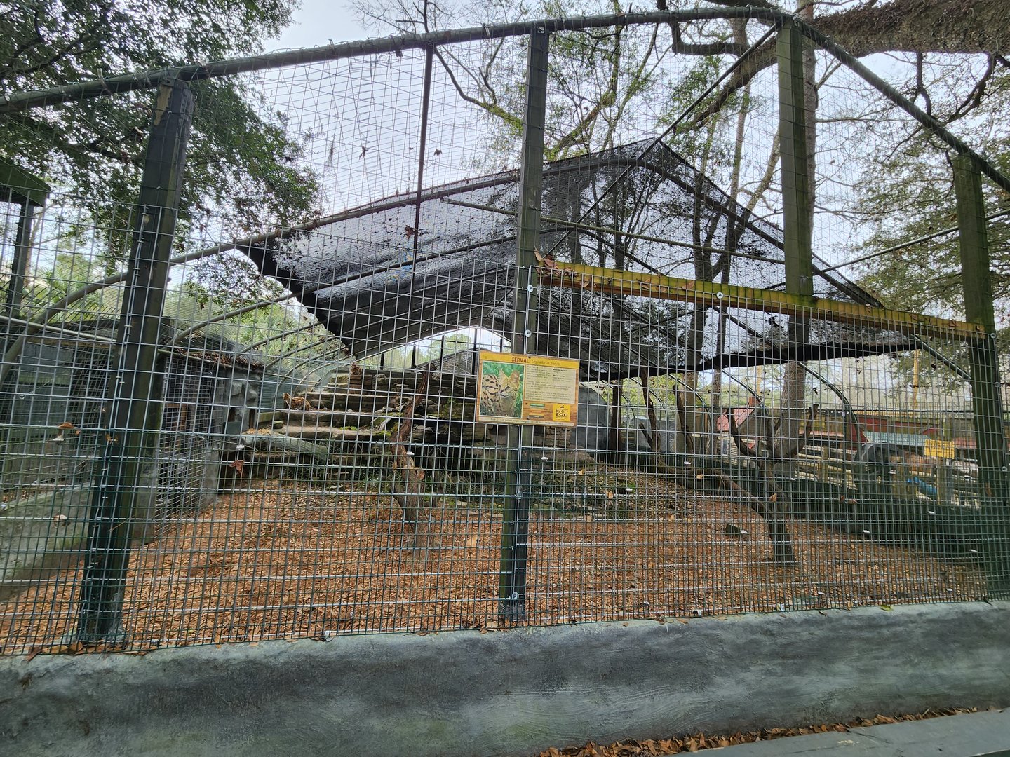 Bee City Zoo (2023) - Serval enclosure