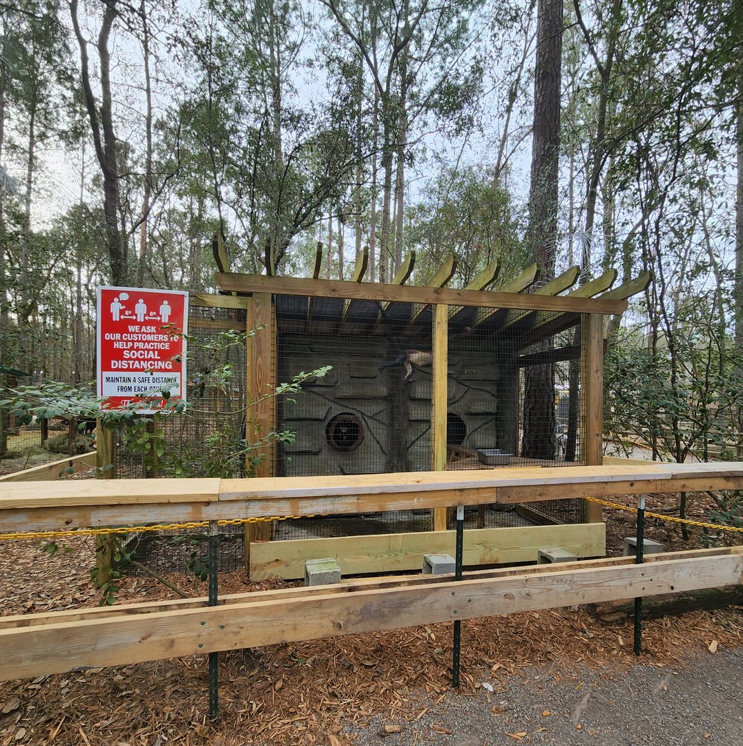 Bee City Zoo (2023) - Spider Monkey cage