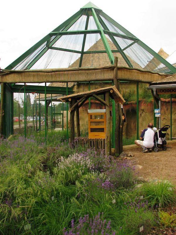 Bee-eater aviary in front of the pygmy hippo house