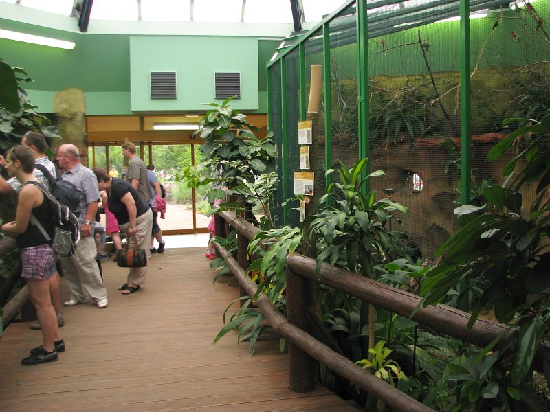 Bee-eater aviary inside pygmy hippo house
