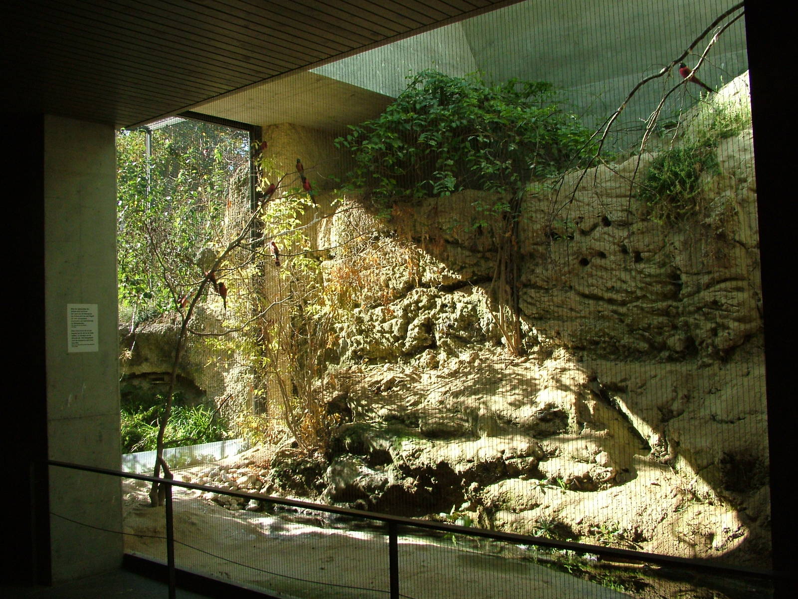 Bee-eater exhibit, Etosha House at Basel Zoo 30/08/09
