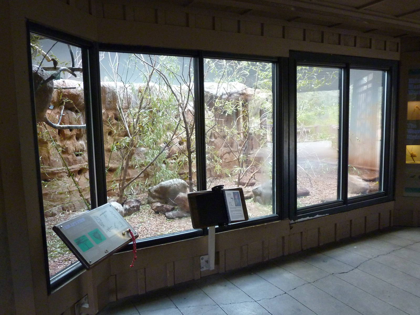 Bee Eater/Weaver Exhibit