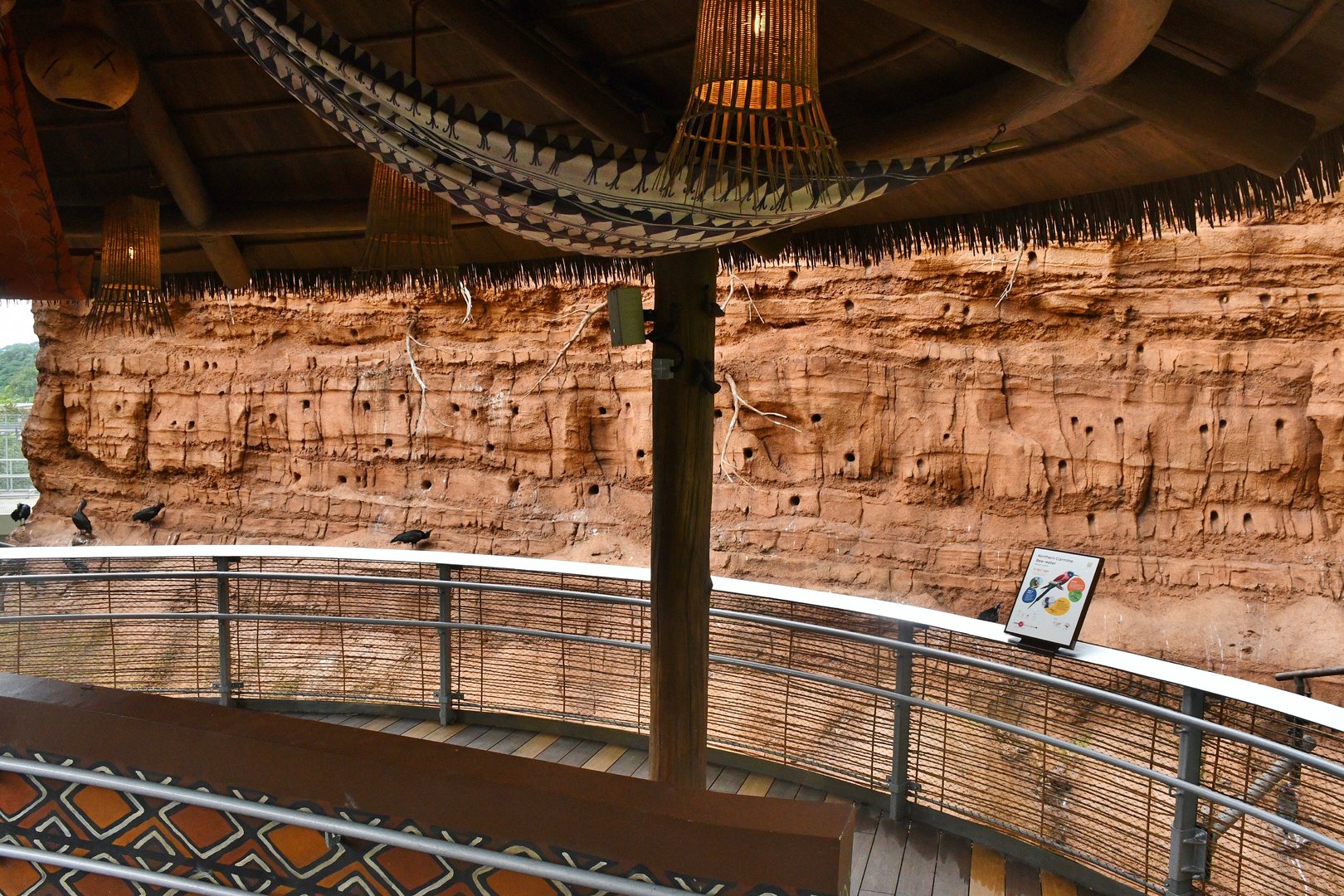 Bee-eaters' Cliff in the Heart of Africa aviary