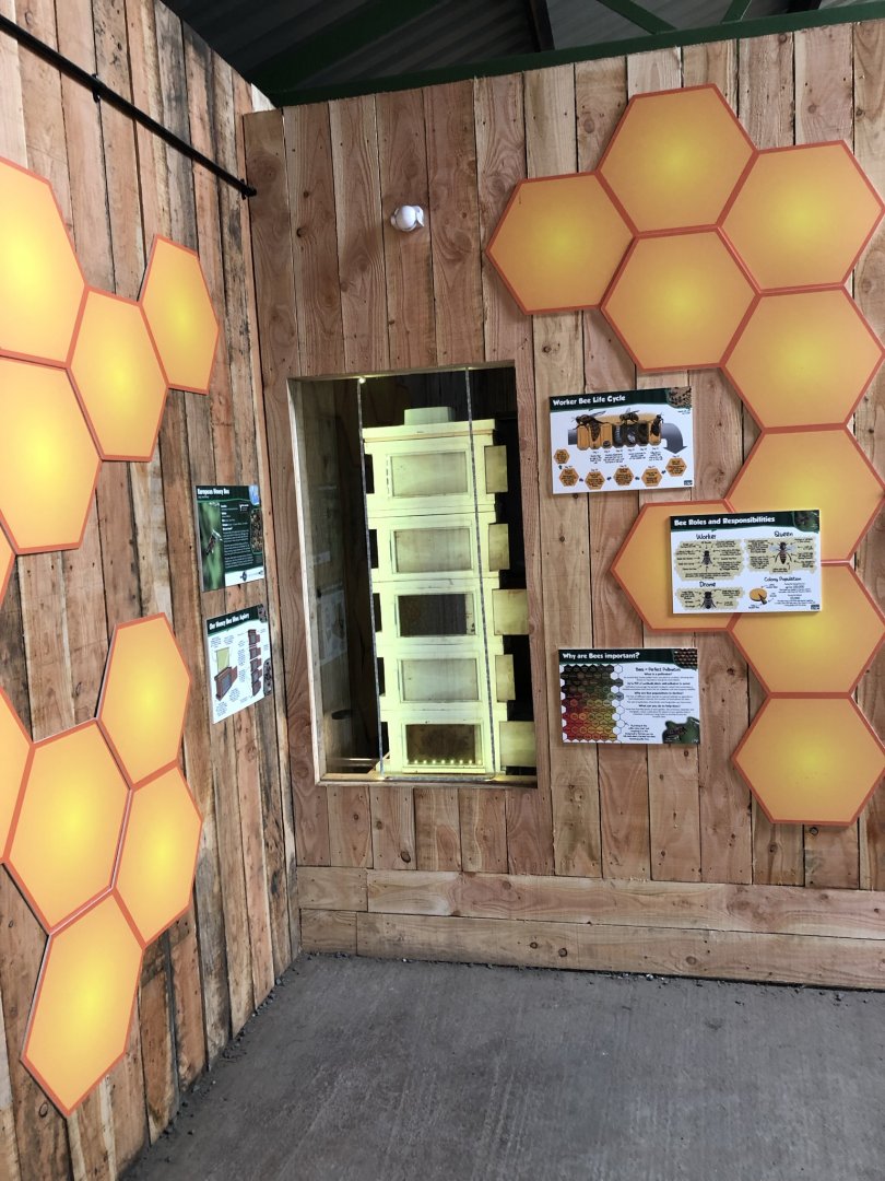 Bee Exhibit at Northumberland Country Zoo (September 2021)