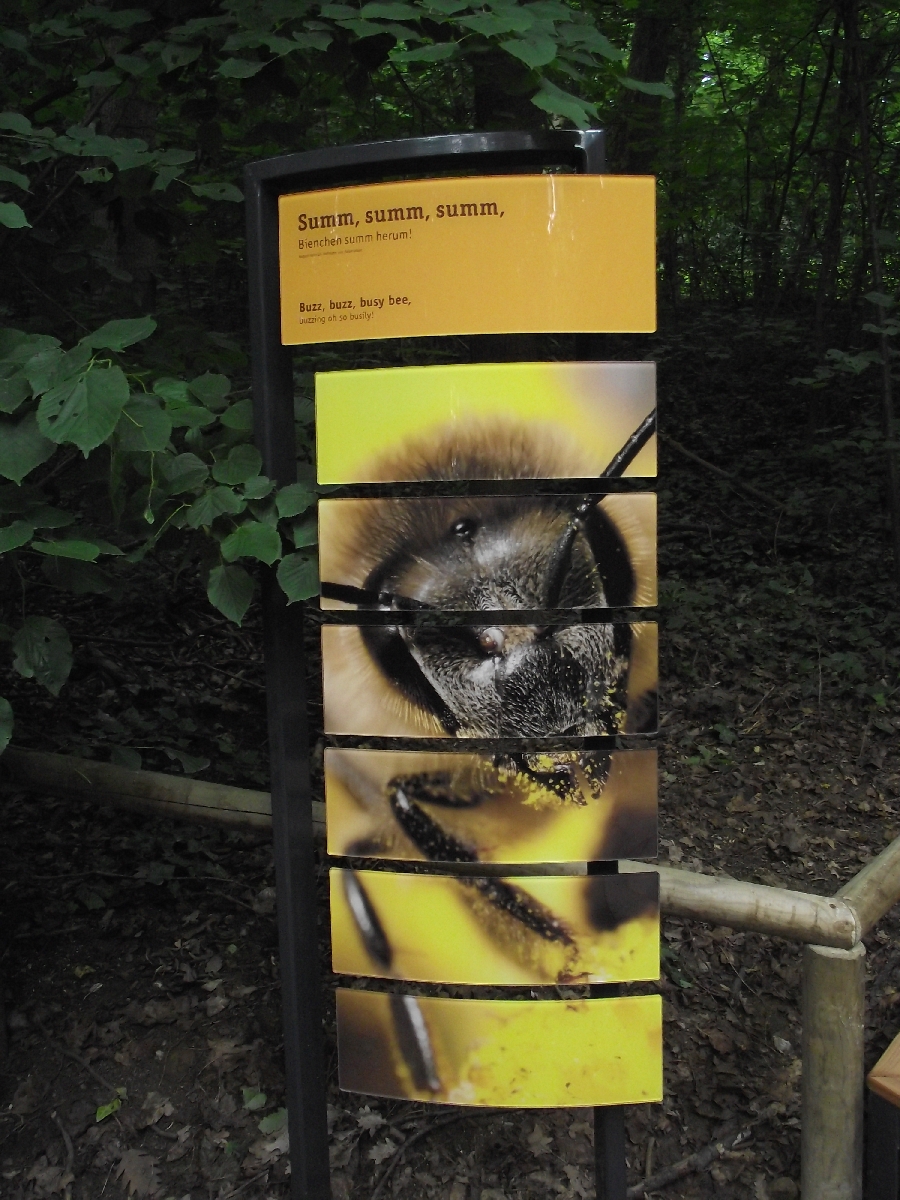 Bee Exhibit