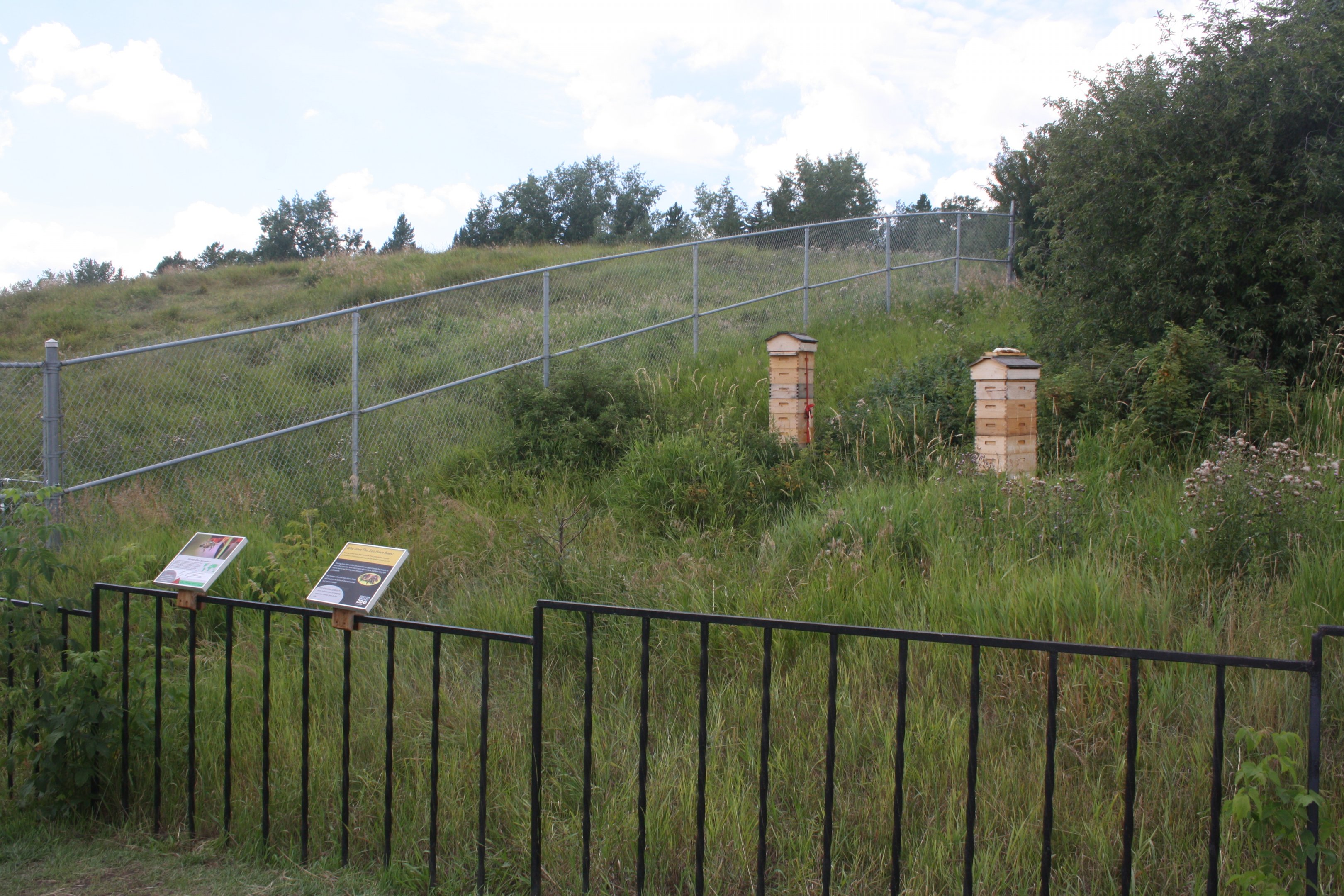Bee Hives