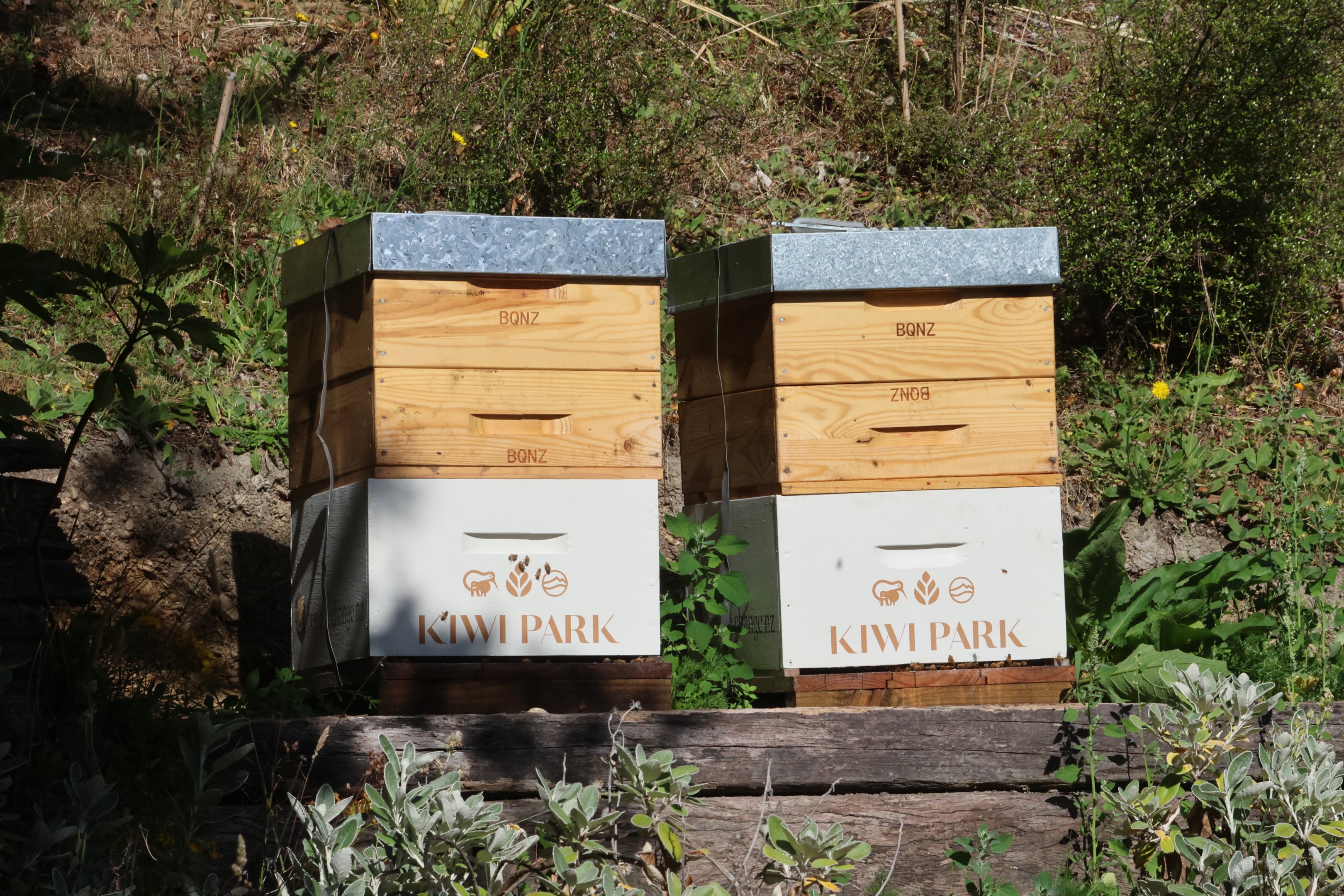 Bee hives