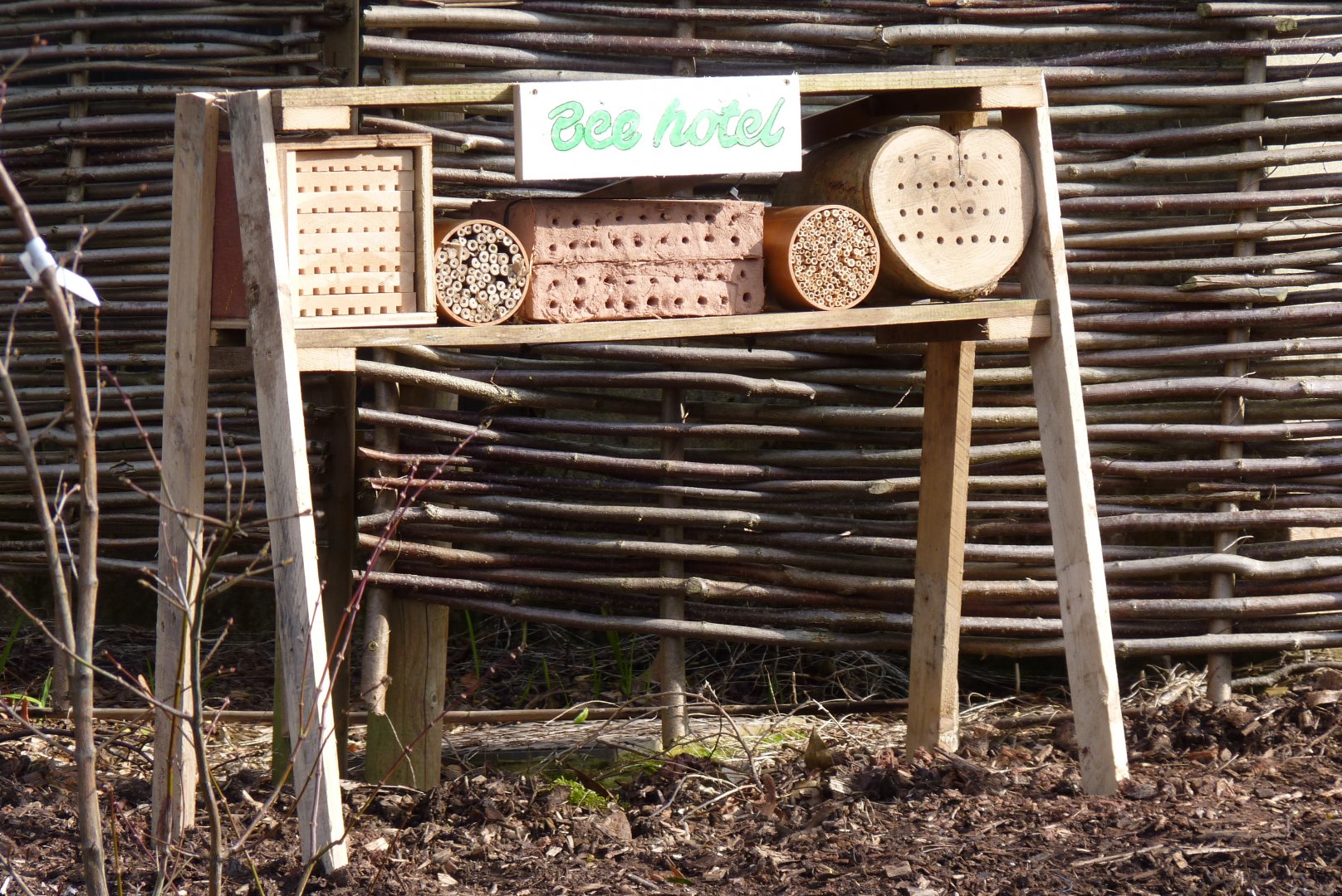 Bee Hotel, February 2017