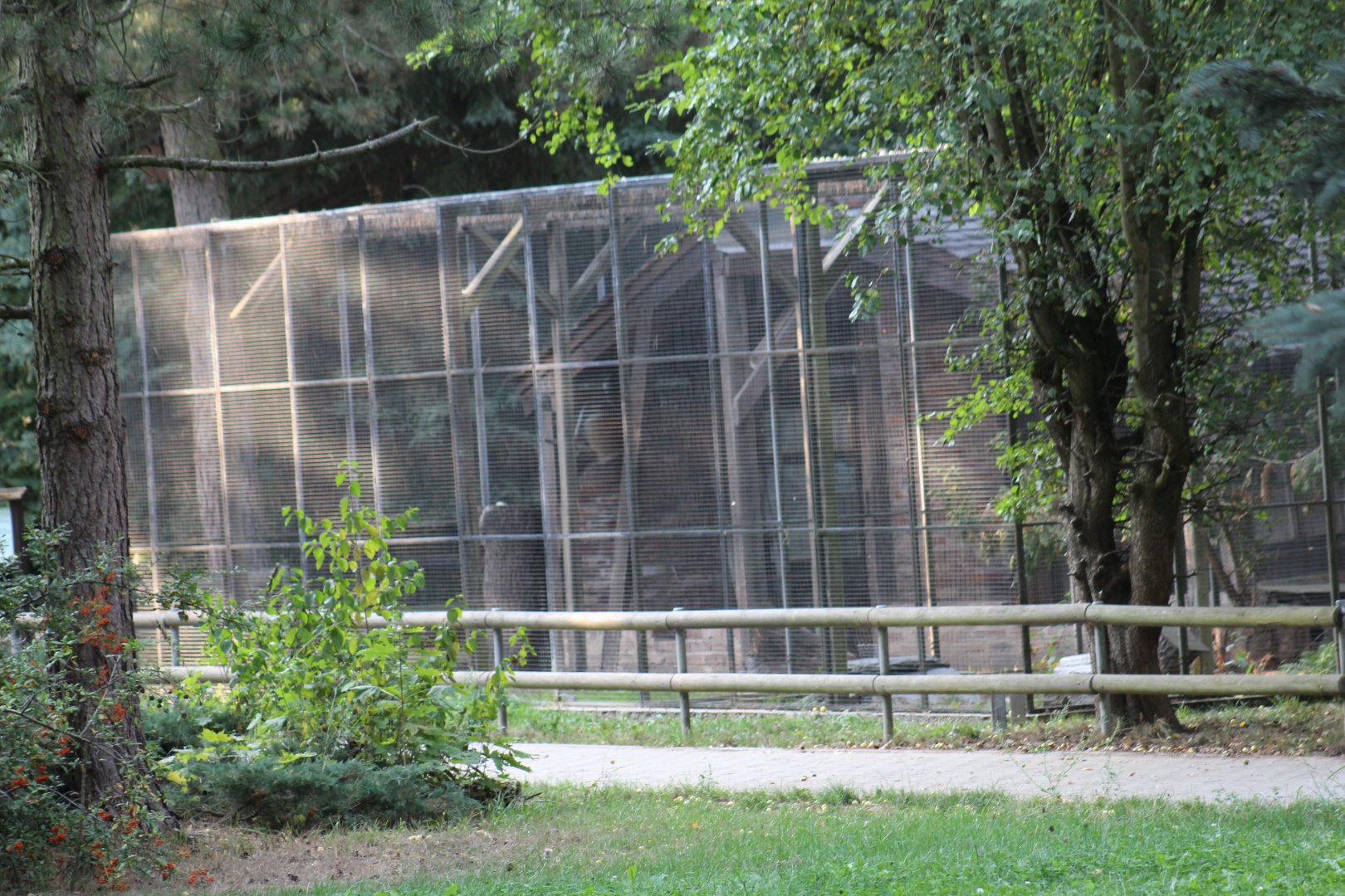 Beech Marten Enclosure